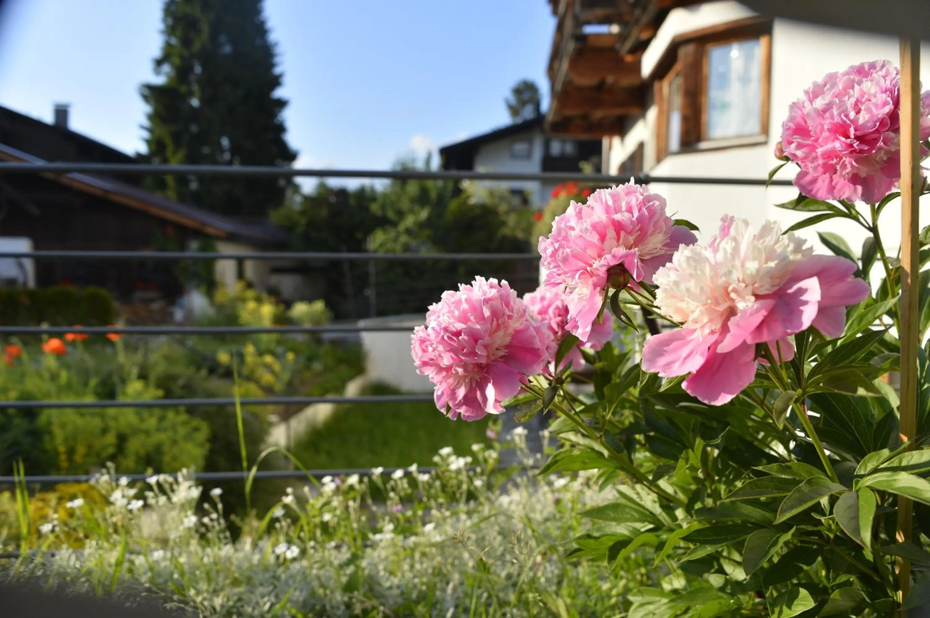 Garden in Schmiedhof