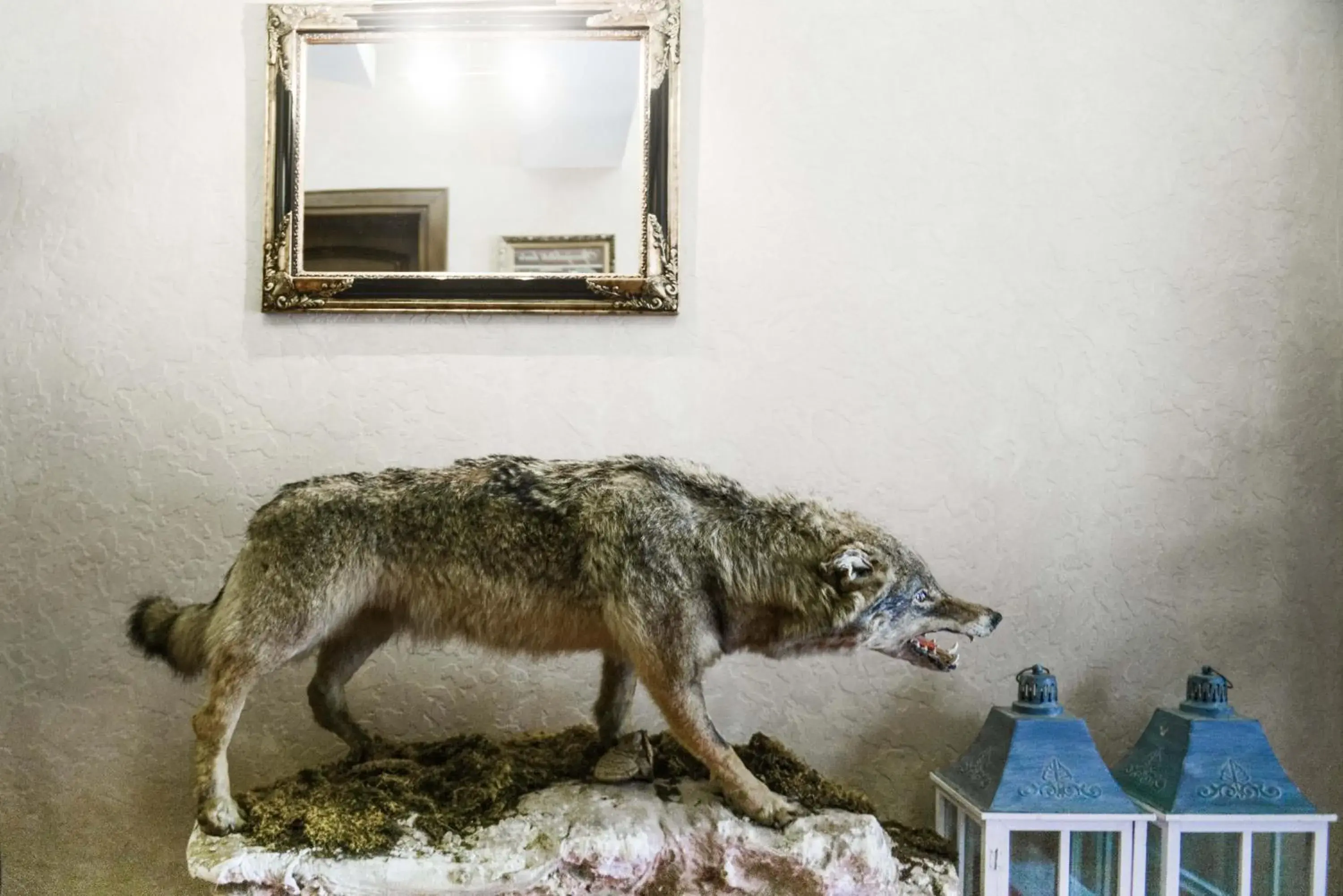 Facade/entrance in Hotel Pahuljica Facade/entrance in Hotel Pahuljica