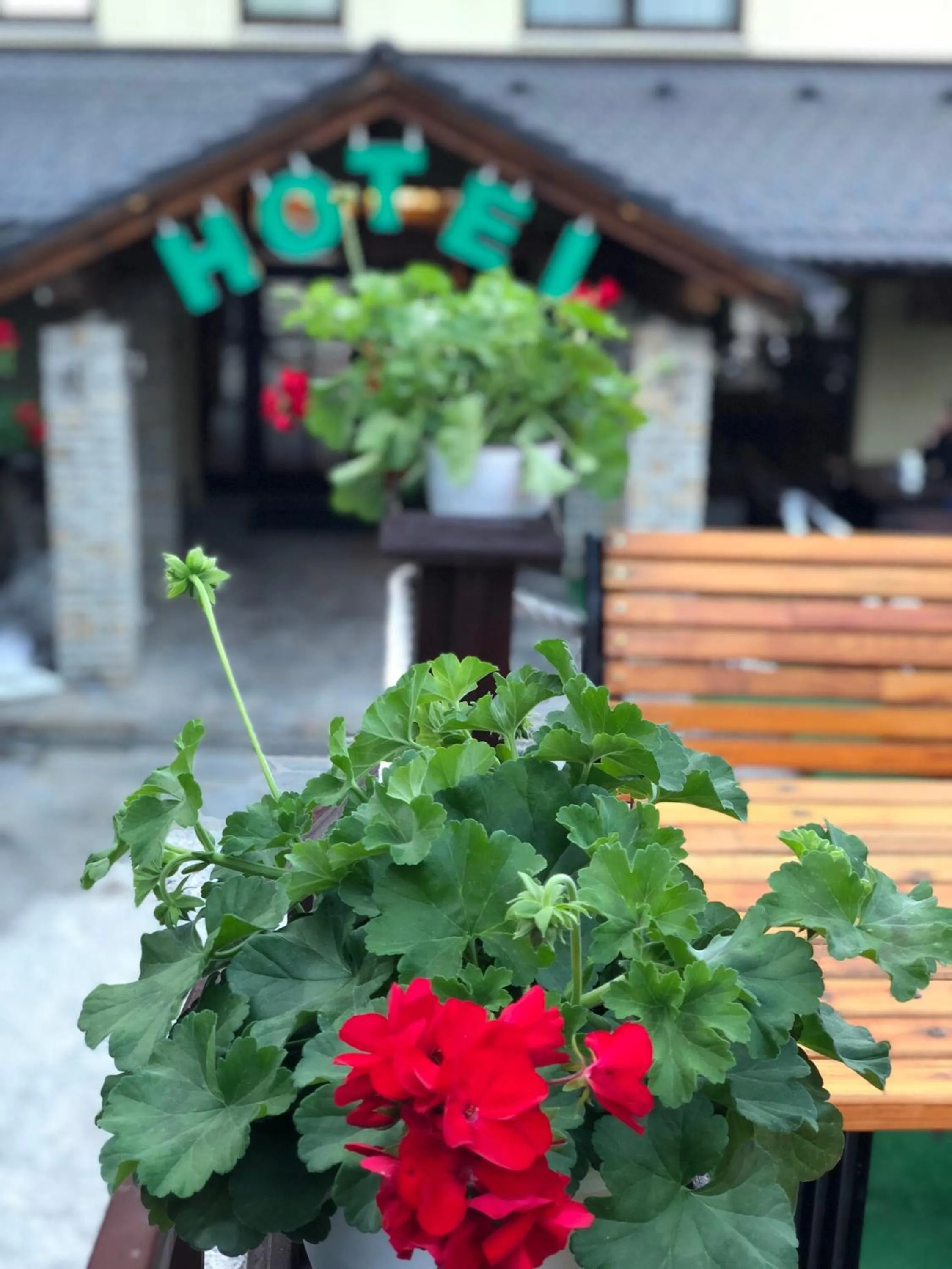 Other in Hotel Pahuljica