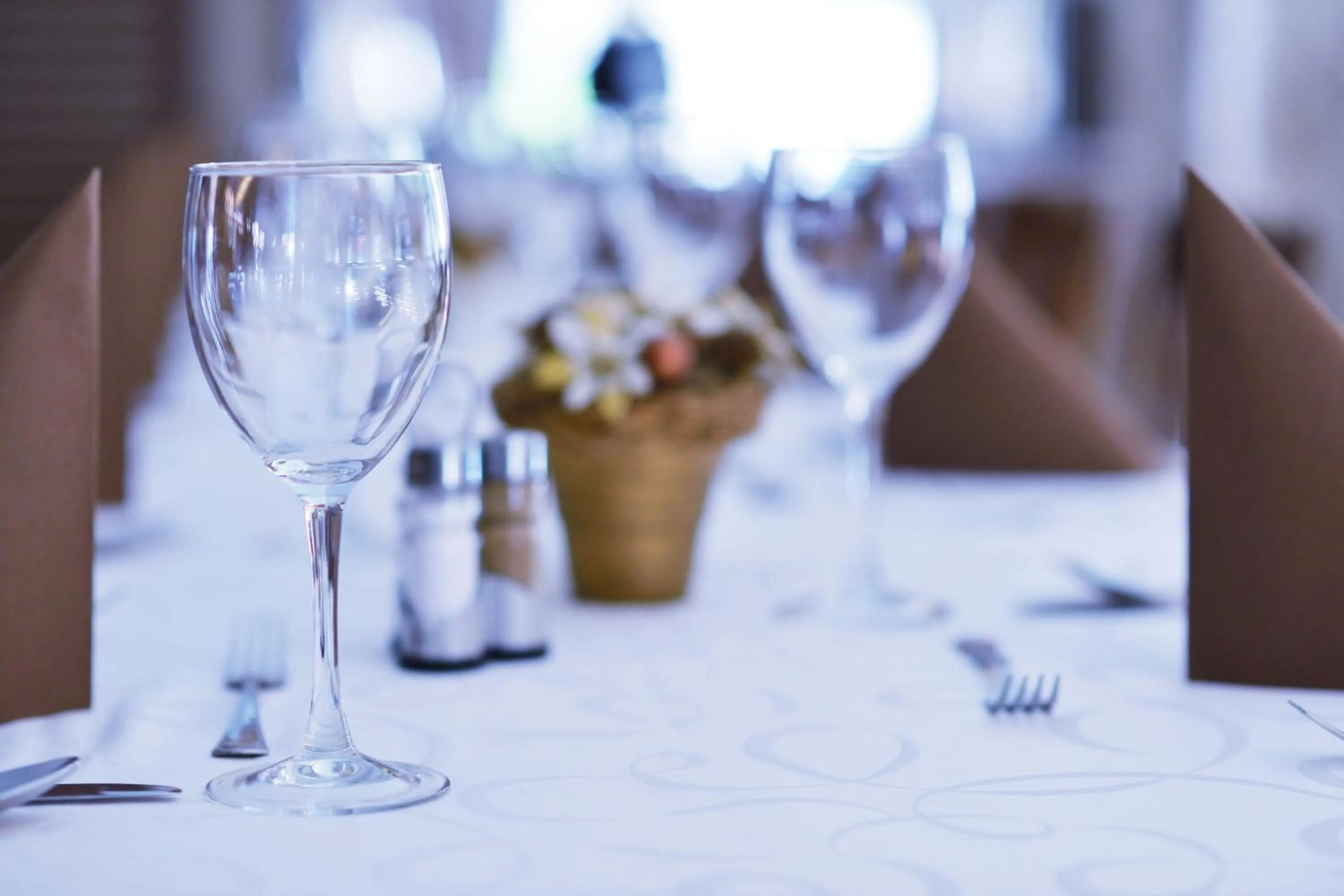 Restaurant/places to eat in Hotel Pahuljica