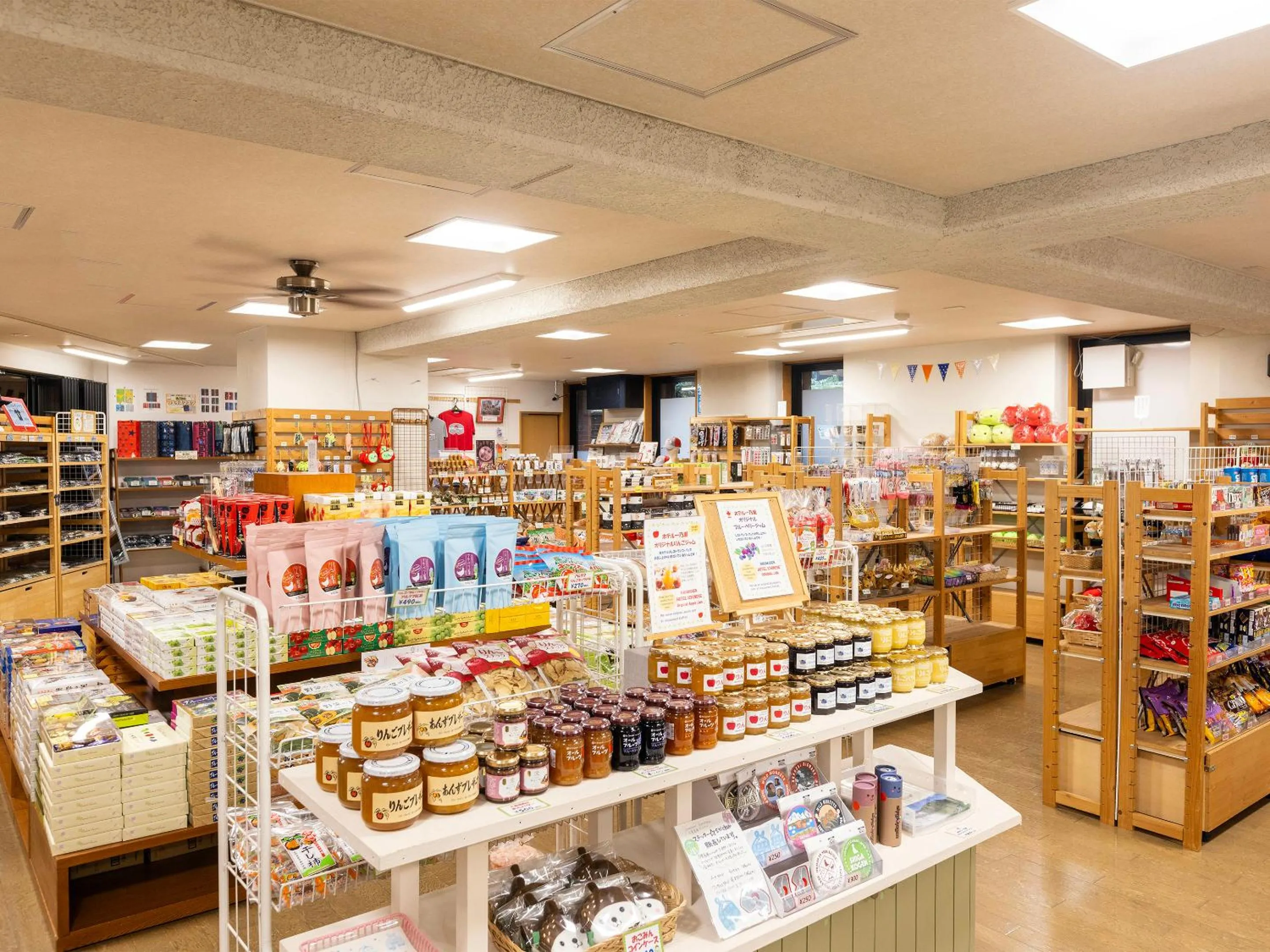 Shopping Area in Hotel Ichinose