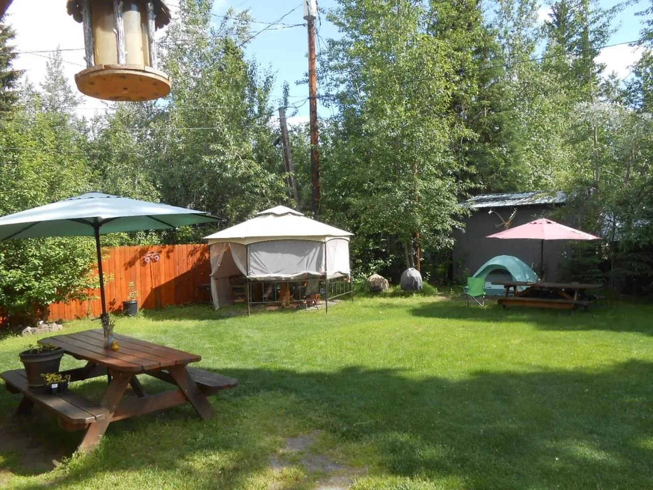 Garden view in Billie's Backpackers Hostel