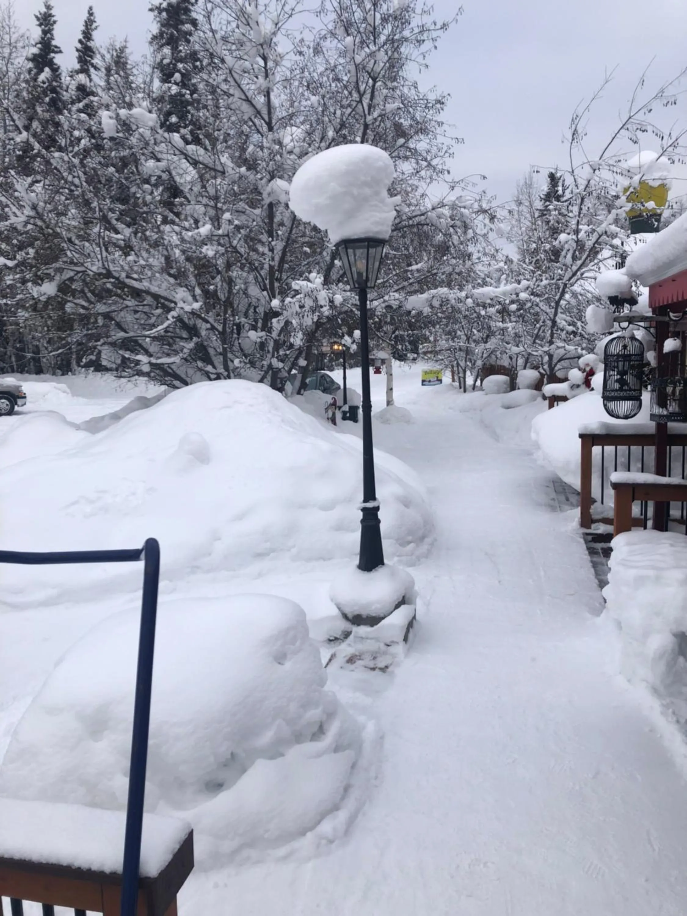 Property building in Billie's Backpackers Hostel