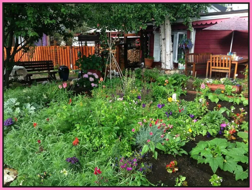 Balcony/Terrace in Billie's Backpackers Hostel