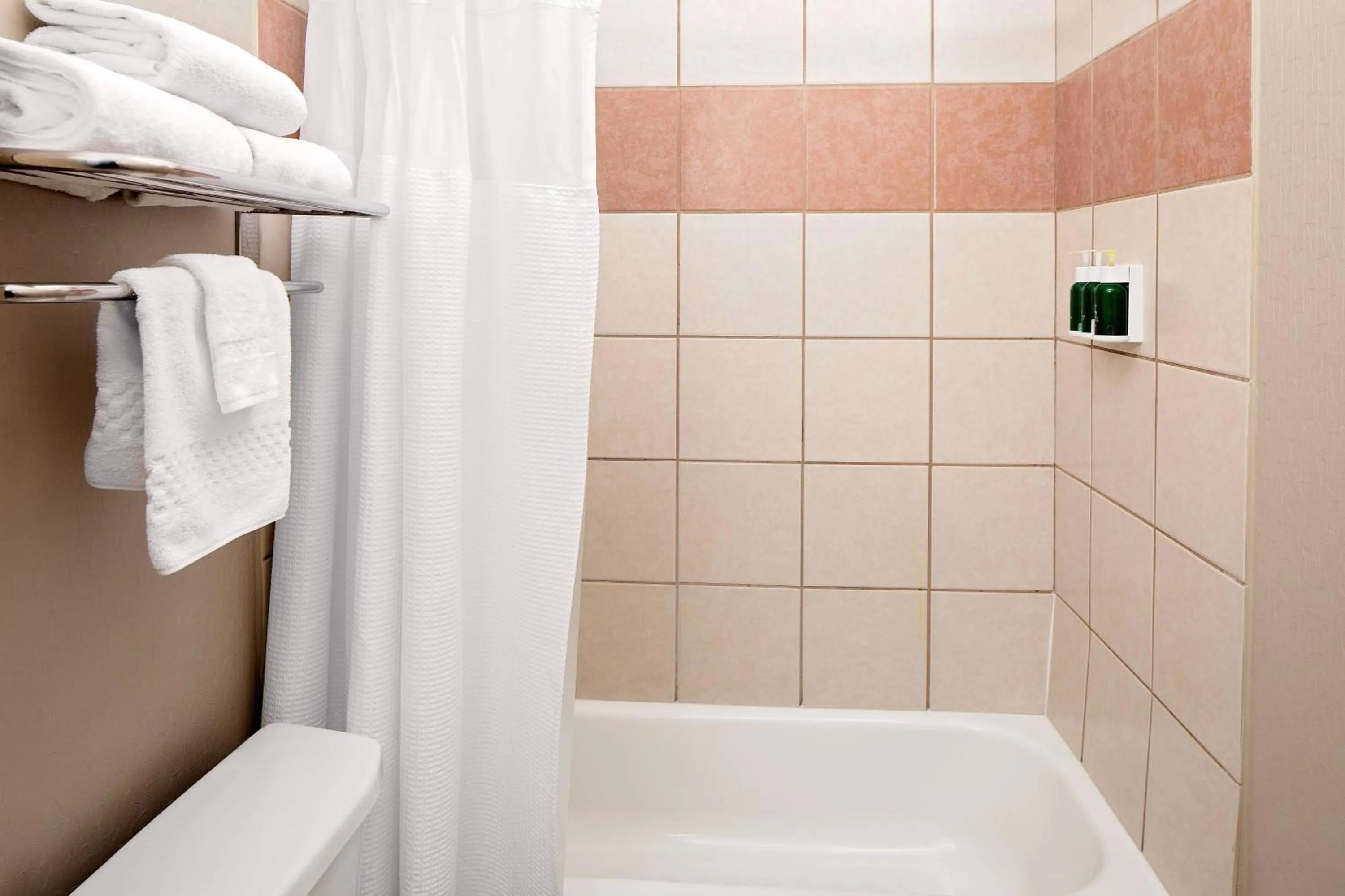 Bathroom in SpringHill Suites by Marriott Ardmore