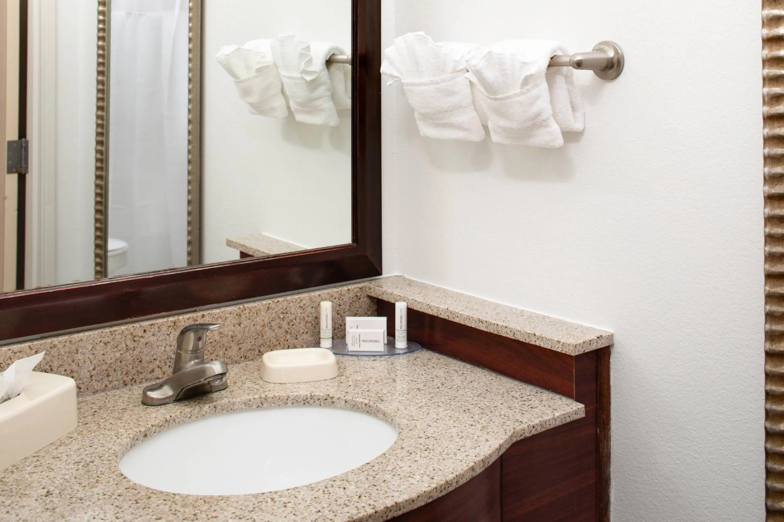 Bathroom in SpringHill Suites by Marriott Ardmore