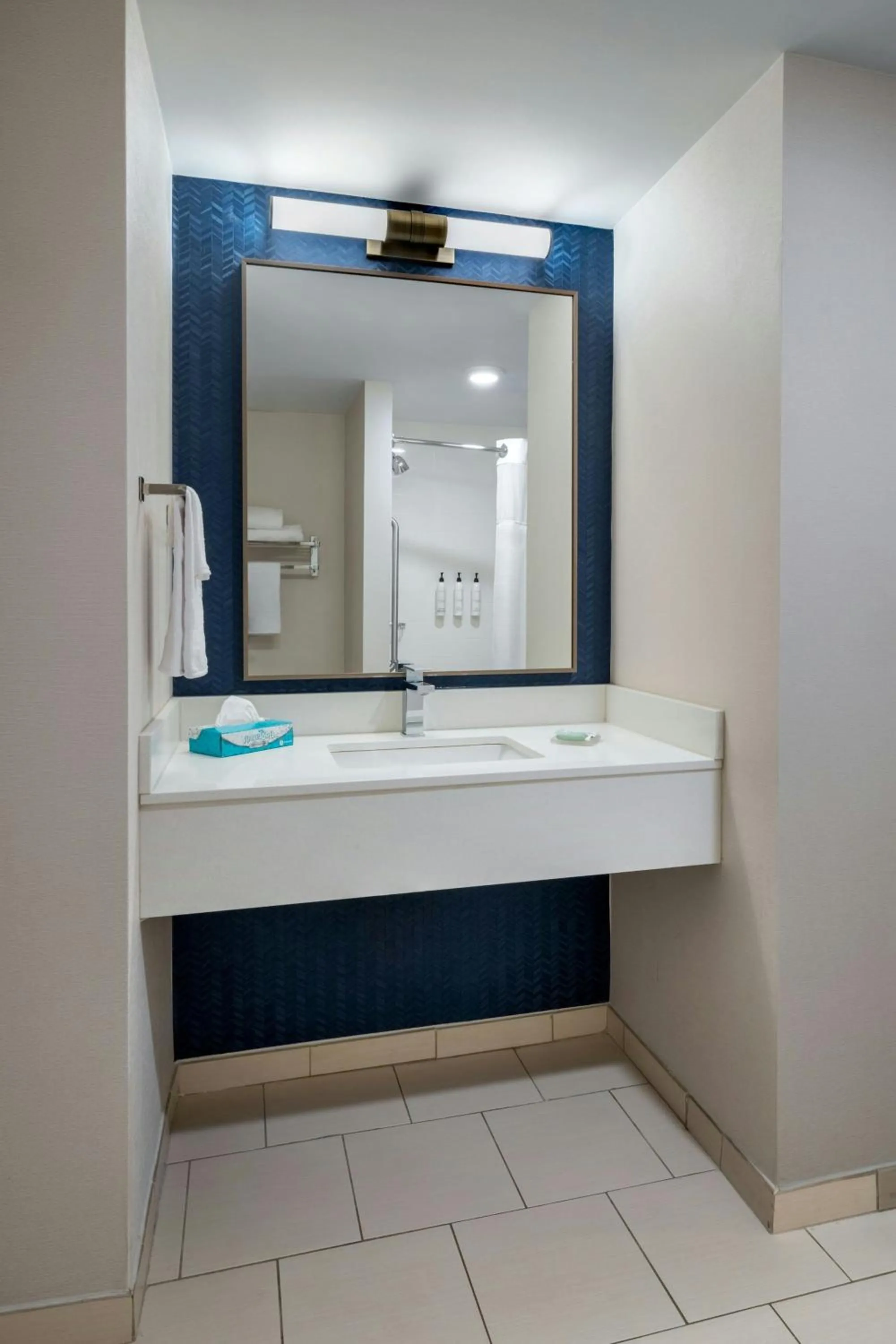 Bathroom in Fairfield Inn & Suites by Marriott Aiken