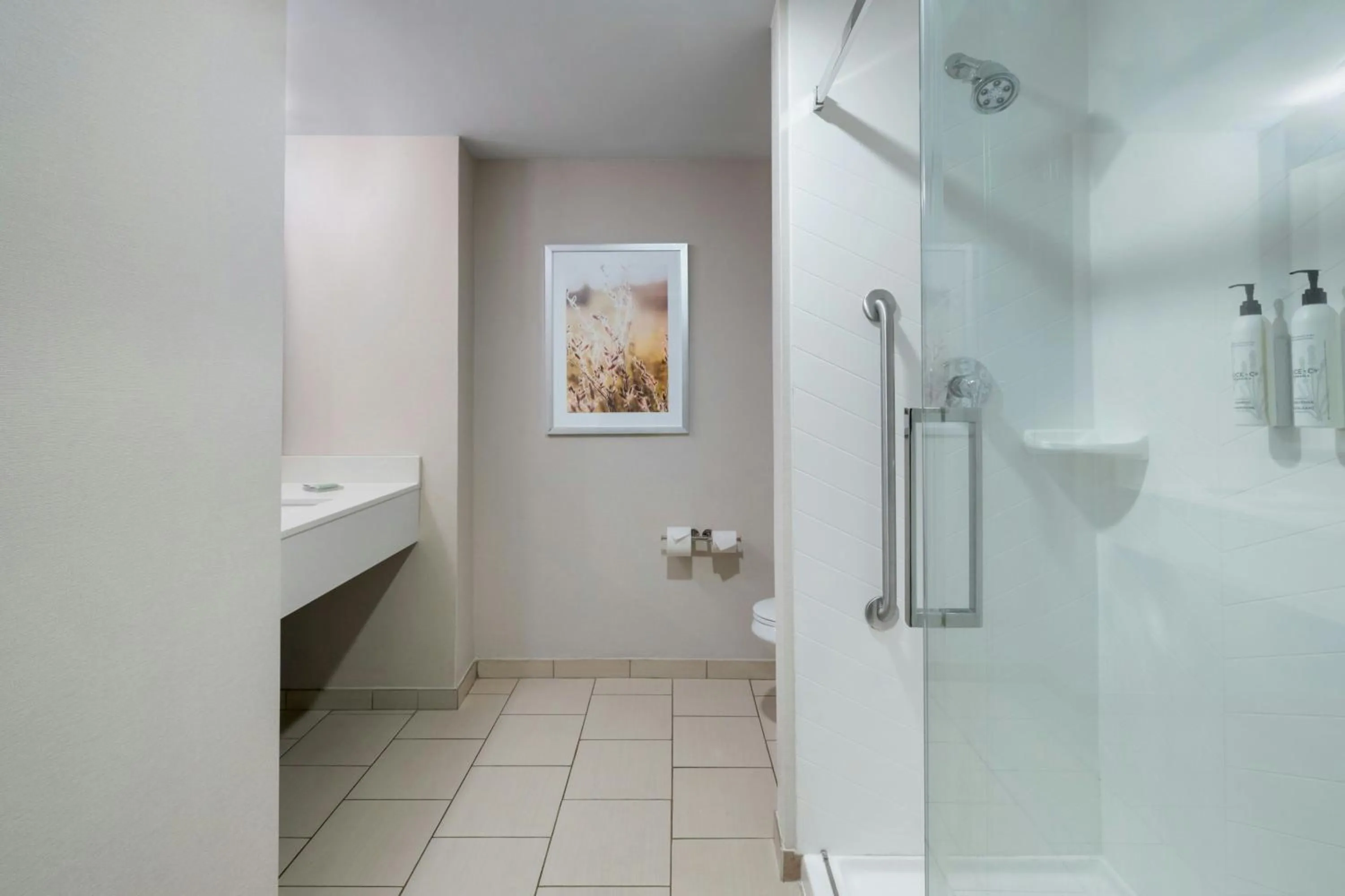 Bathroom in Fairfield Inn & Suites by Marriott Aiken