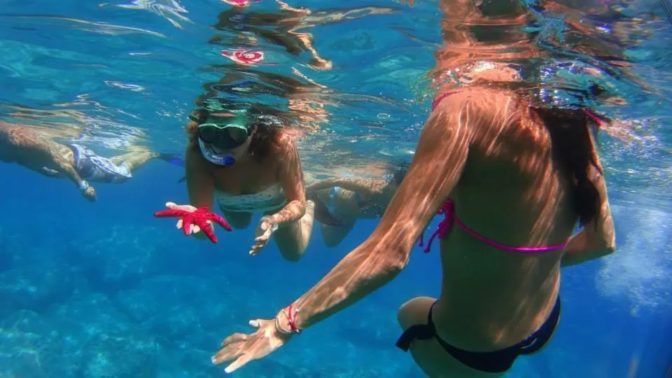 Snorkeling in Herodotos Studios