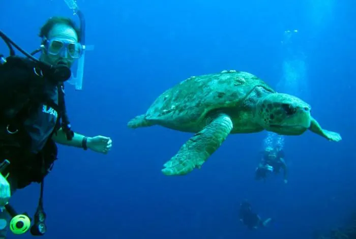 Diving in Herodotos Studios