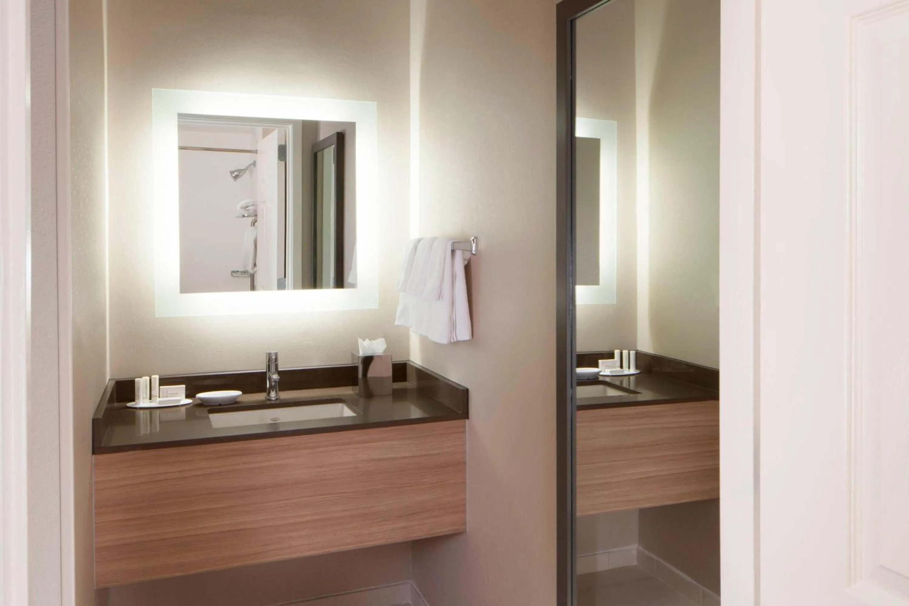 Bathroom in SpringHill Suites by Marriott Atlanta Kennesaw