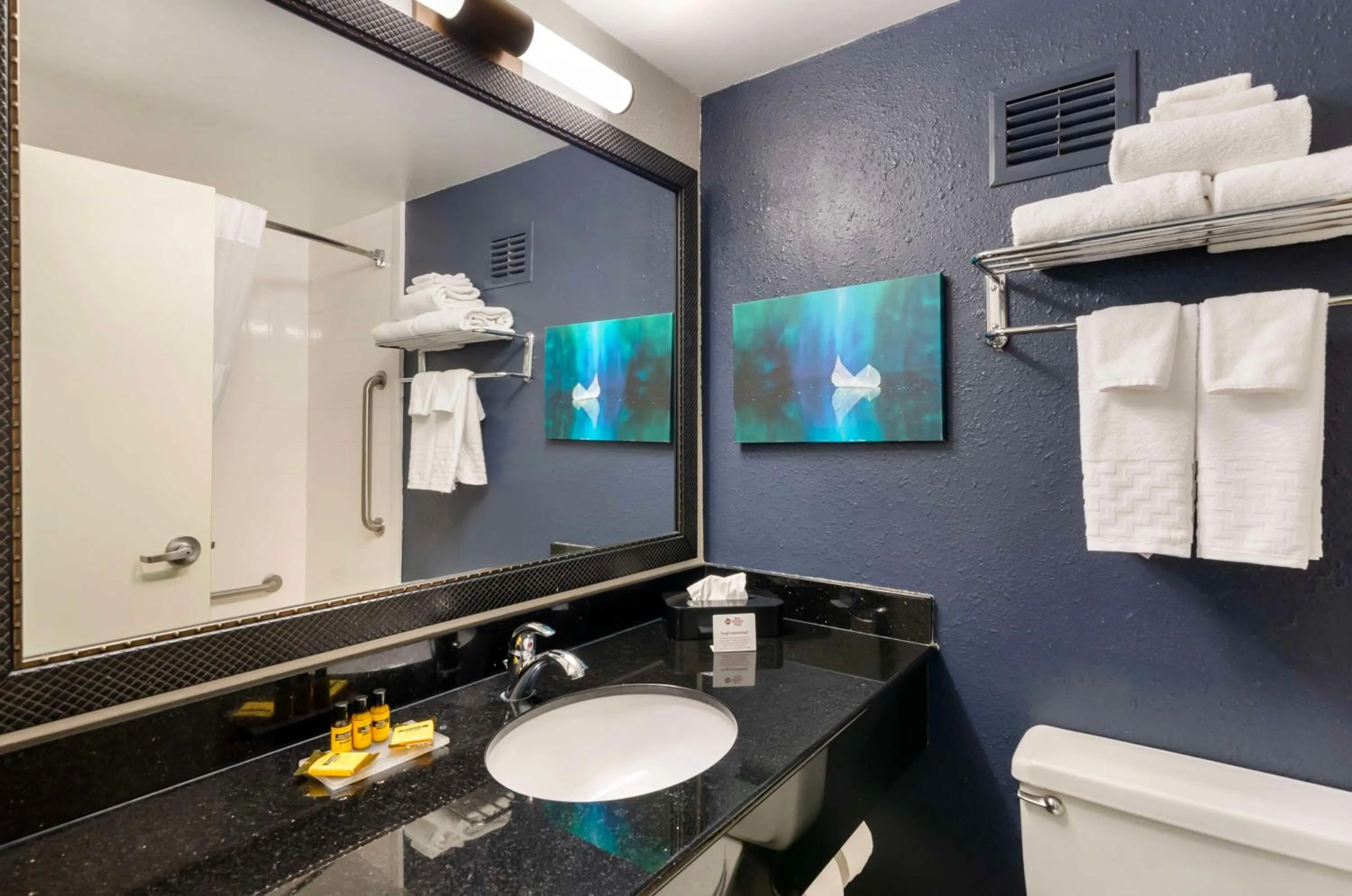 Bathroom in Best Western Plus Beckley Inn