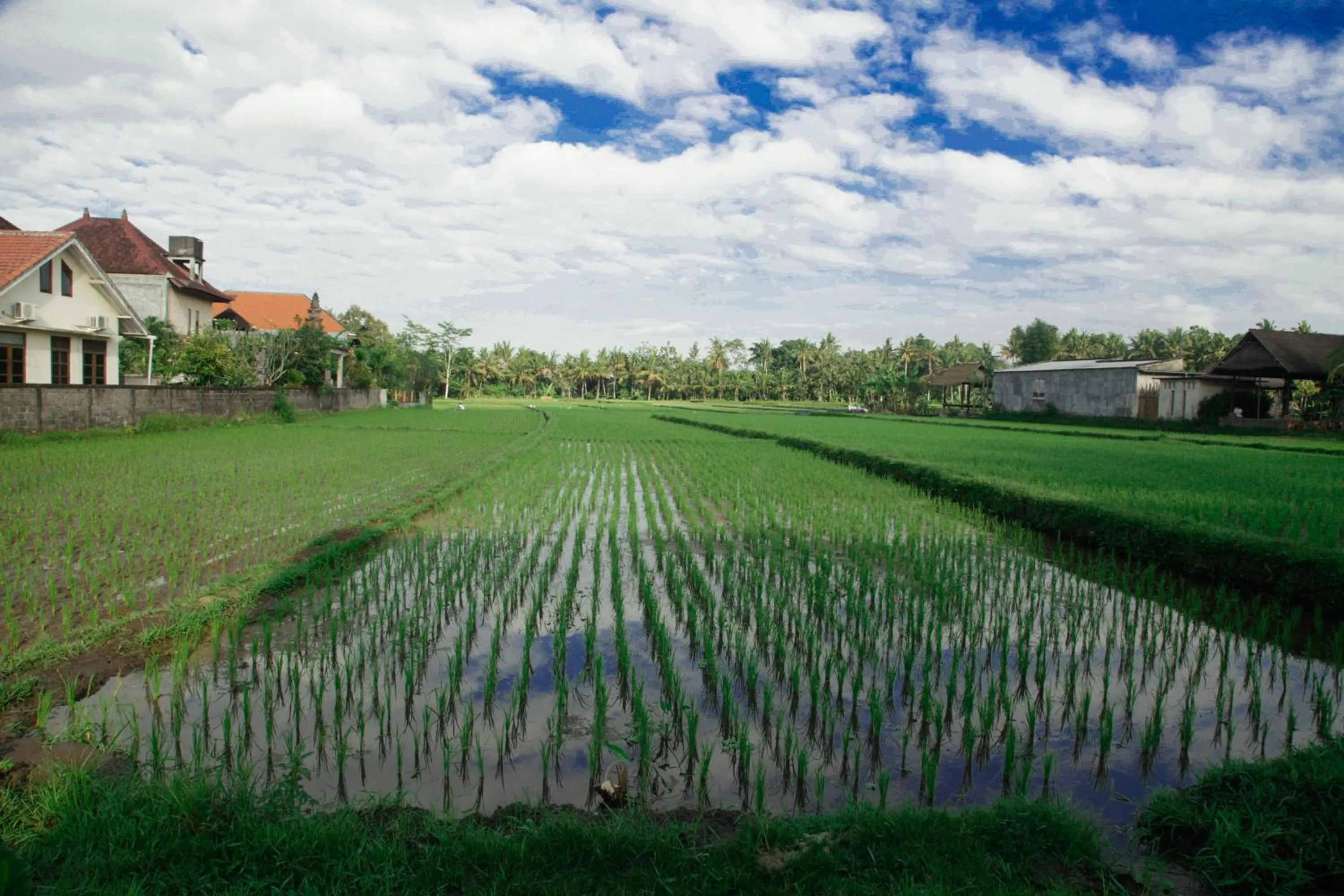 Canang Sari House