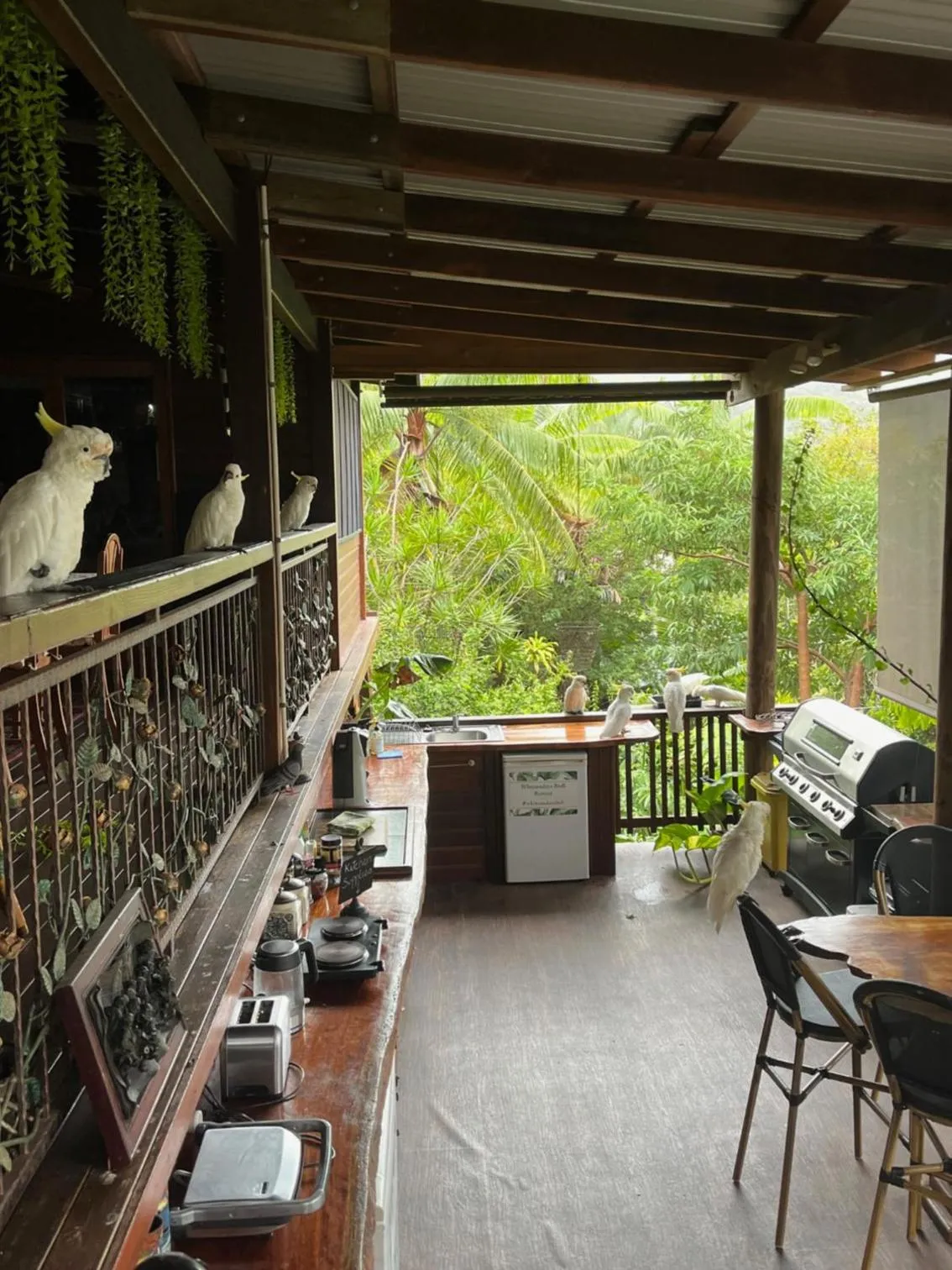 Kitchen or kitchenette in Whitsundays Retreat