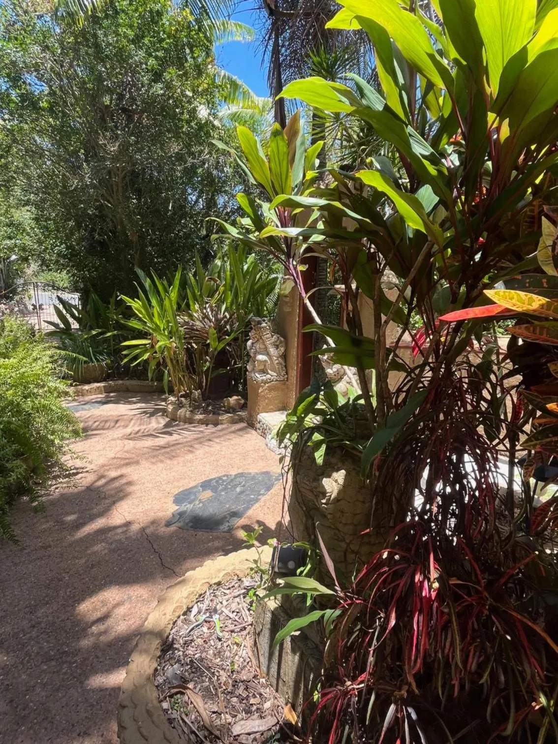 View (from property/room) in Whitsundays Retreat