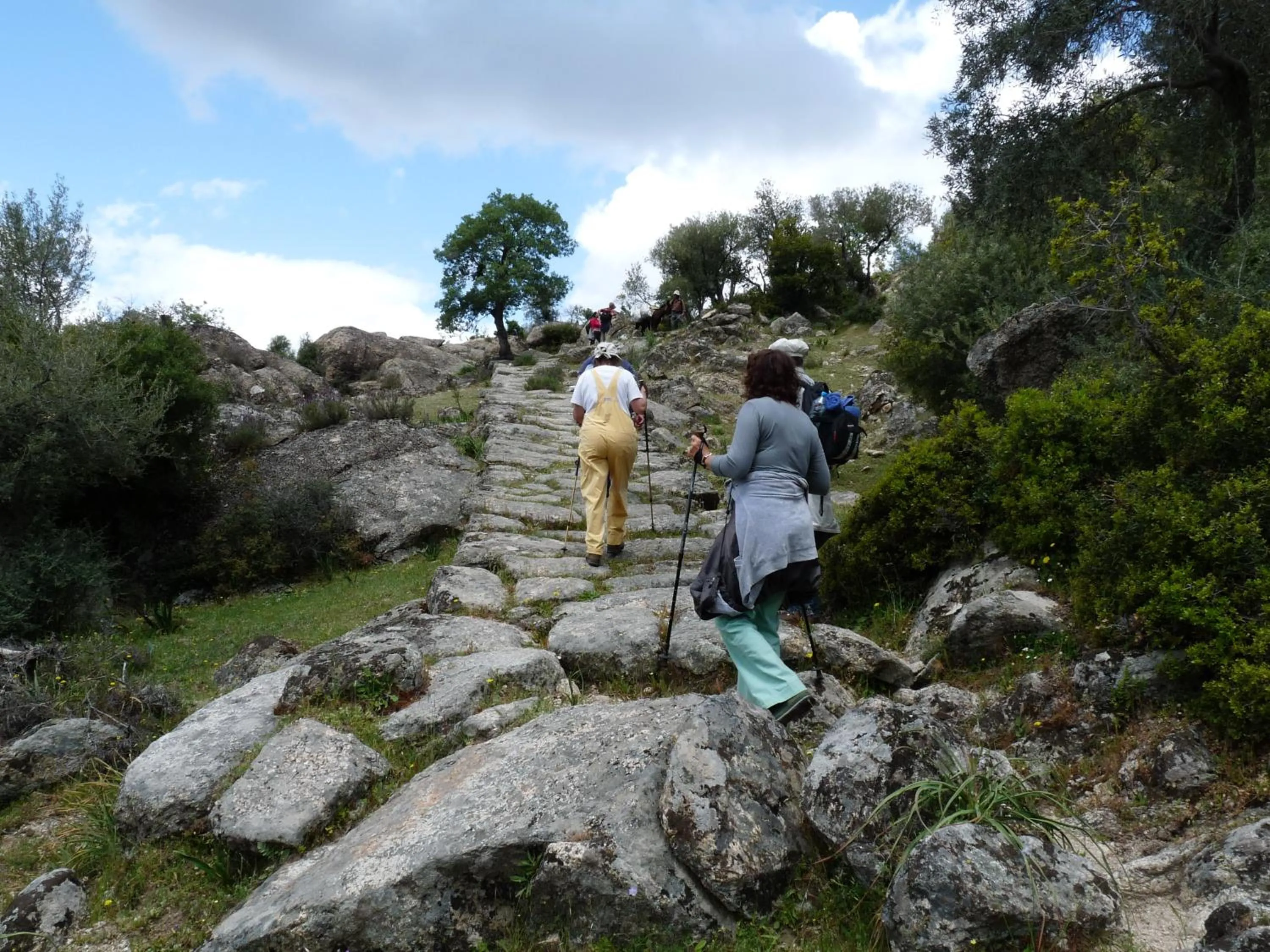 Activities in Selenes Pansiyon