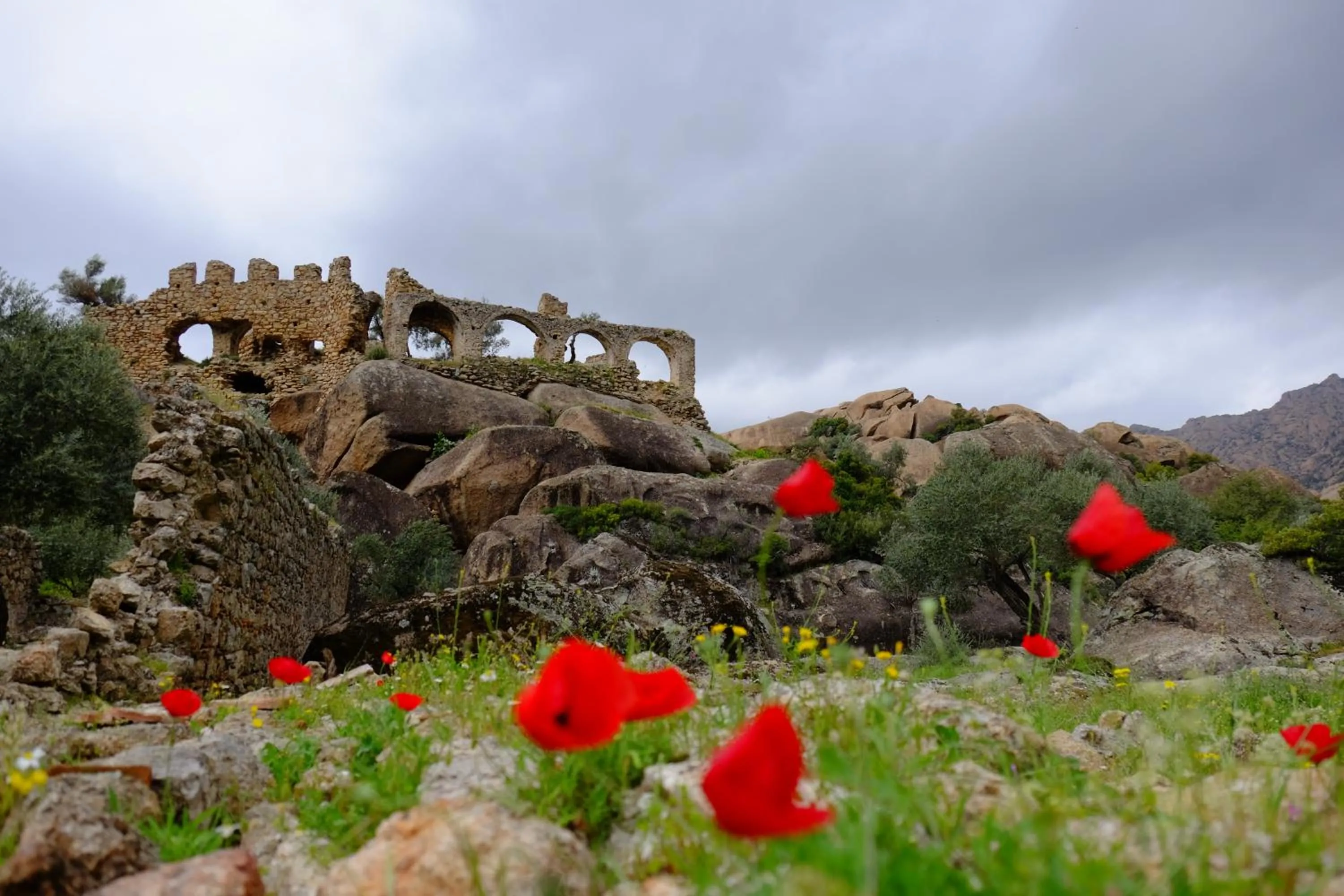 Nearby landmark in Selenes Pansiyon