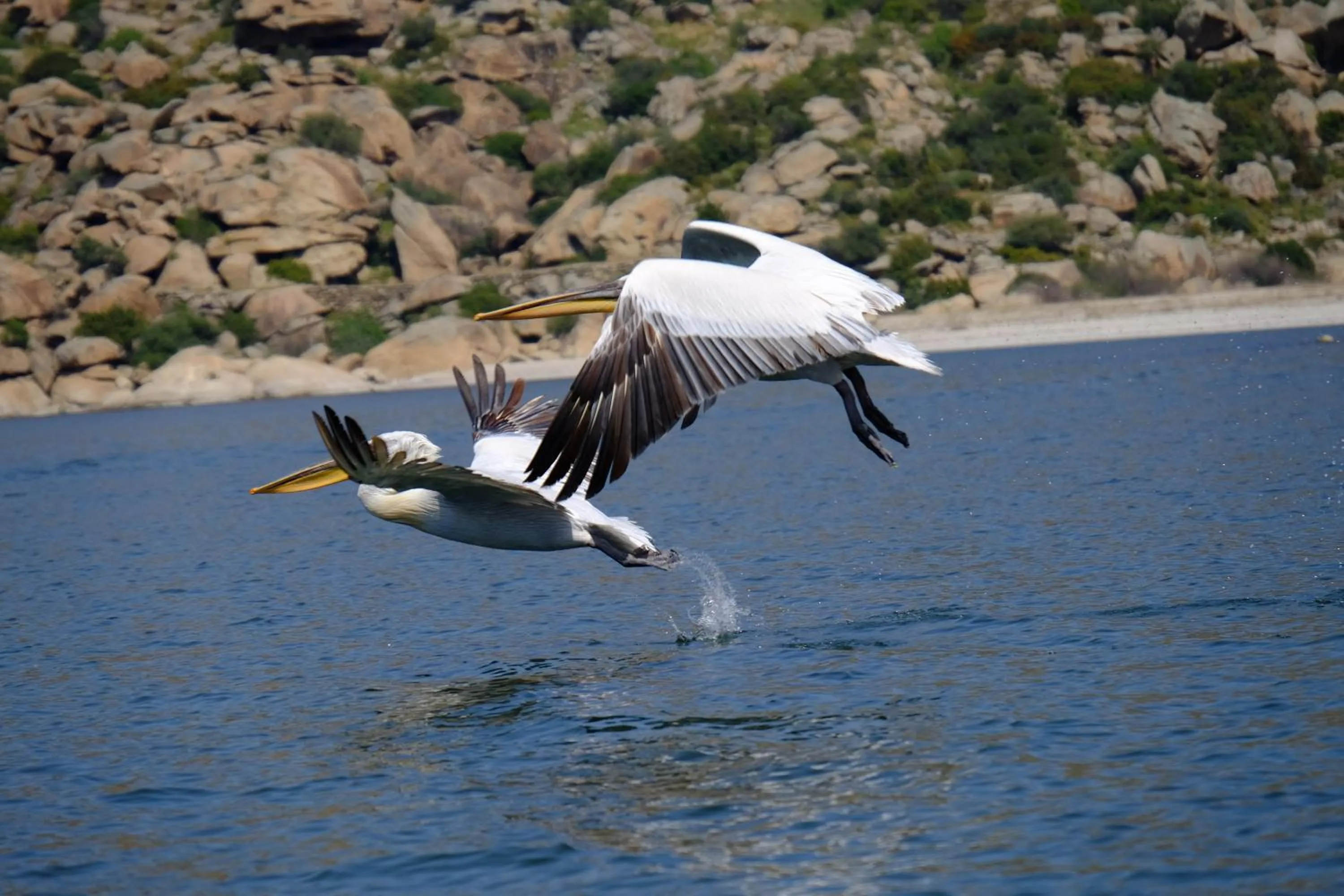 Activities in Selenes Pansiyon