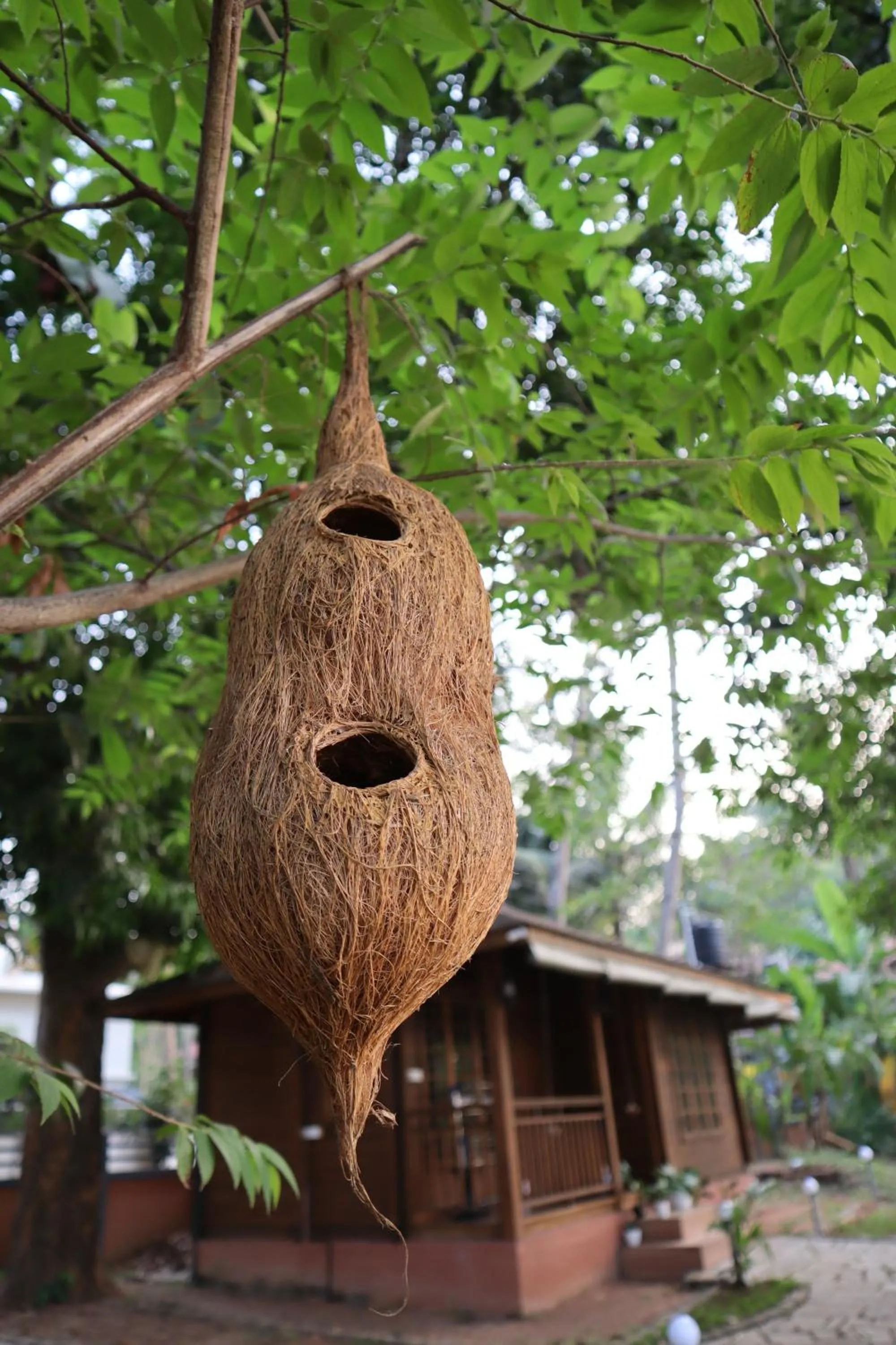 Day in GreenChromide Homestays