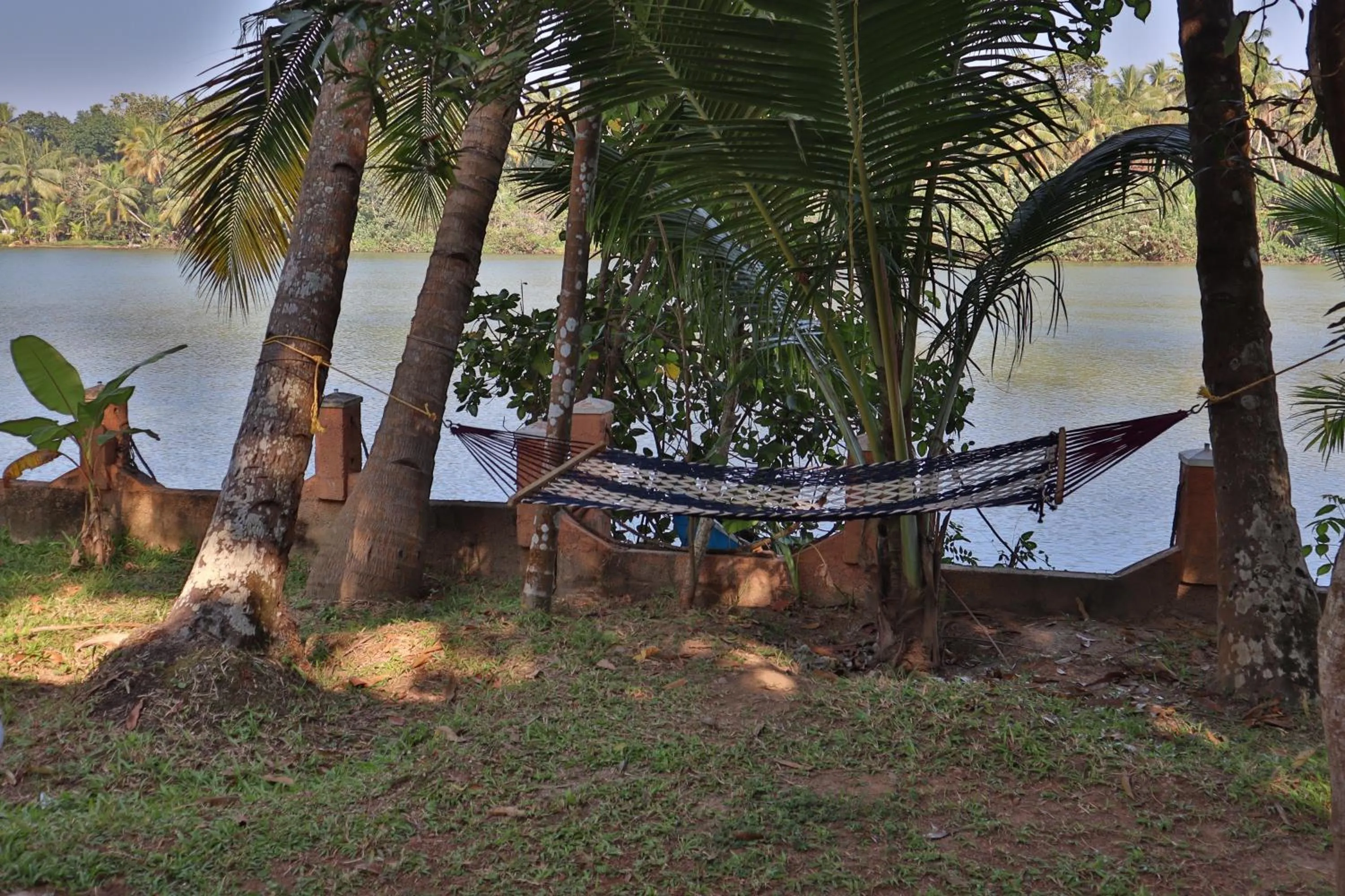 View (from property/room) in GreenChromide Homestays