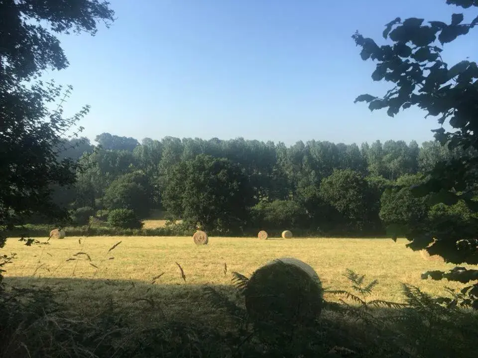 Double Room - single occupancy in Chambres d'Hôtes La Clef des Champs Normandie Manche 50 Double Room - single occupancy in Chambres d'Hôtes La Clef des Champs Normandie Manche 50