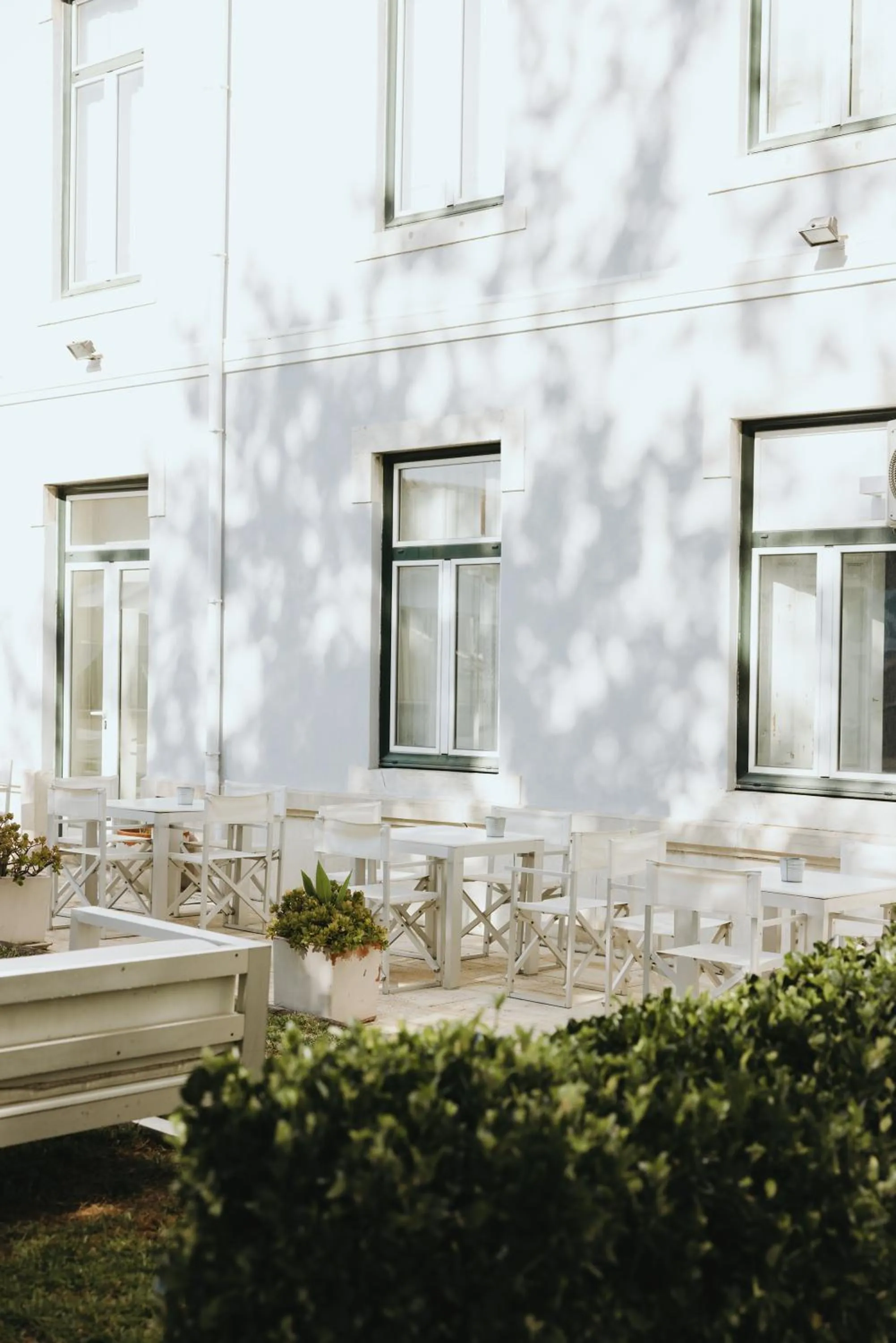 Garden in Lisb'on Hostel