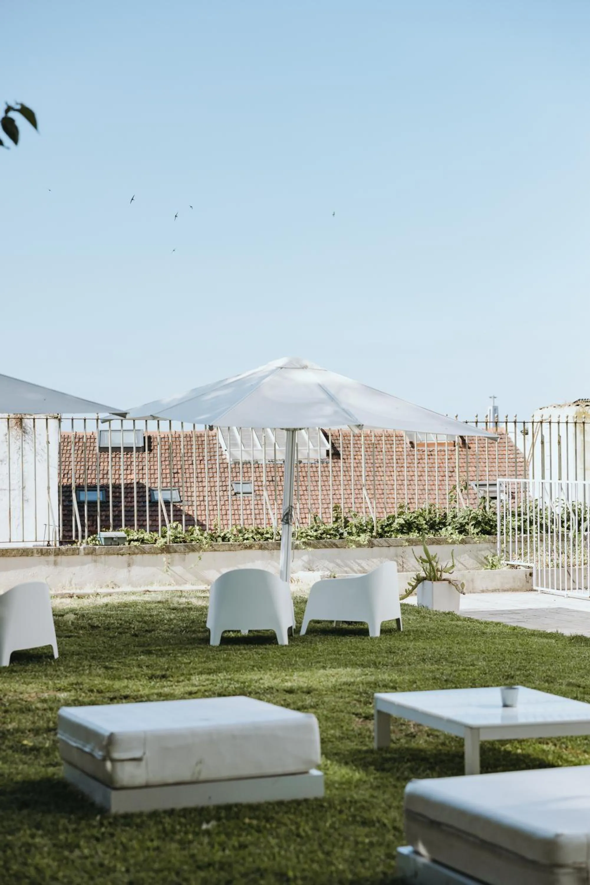 Garden in Lisb'on Hostel