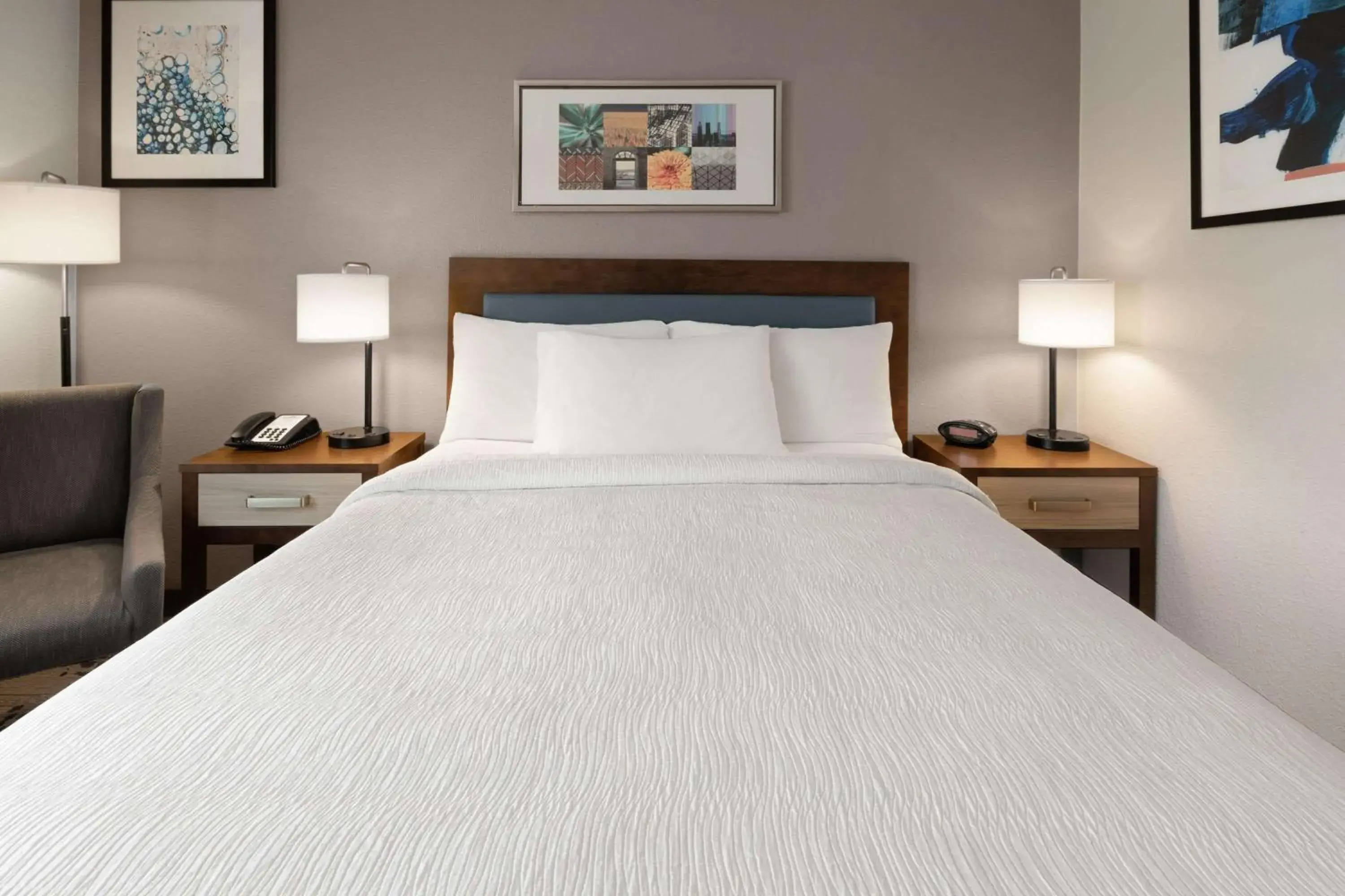 Photo of the whole room, Bed in Wingate by Wyndham Marion Photo of the whole room, Bed in Wingate by Wyndham Marion