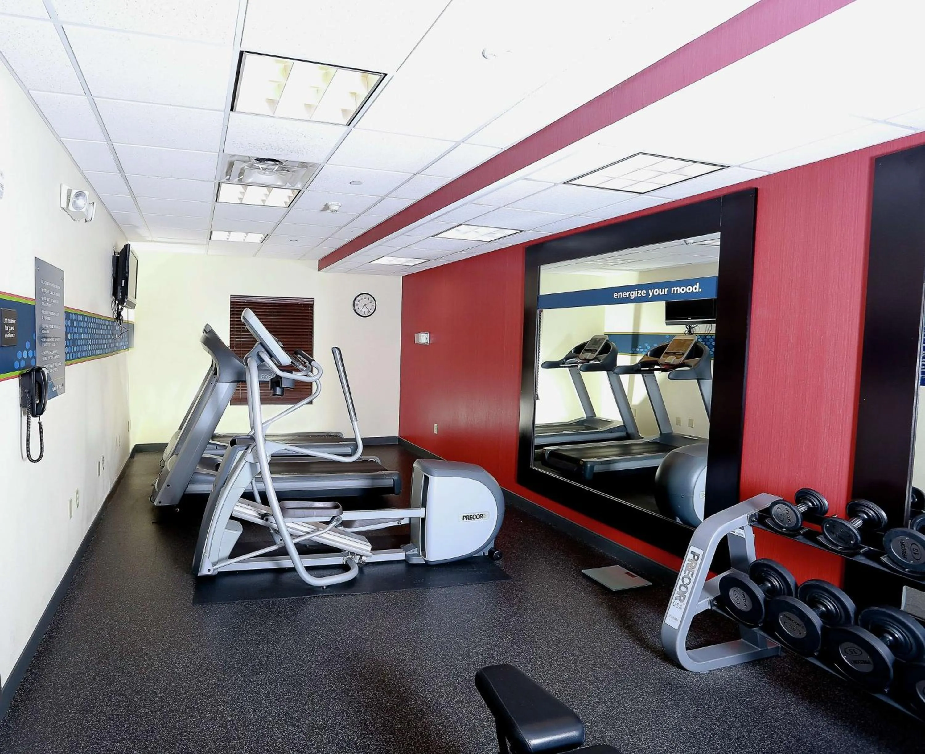 Fitness centre/facilities in Hampton Inn & Suites Tampa-Wesley Chapel