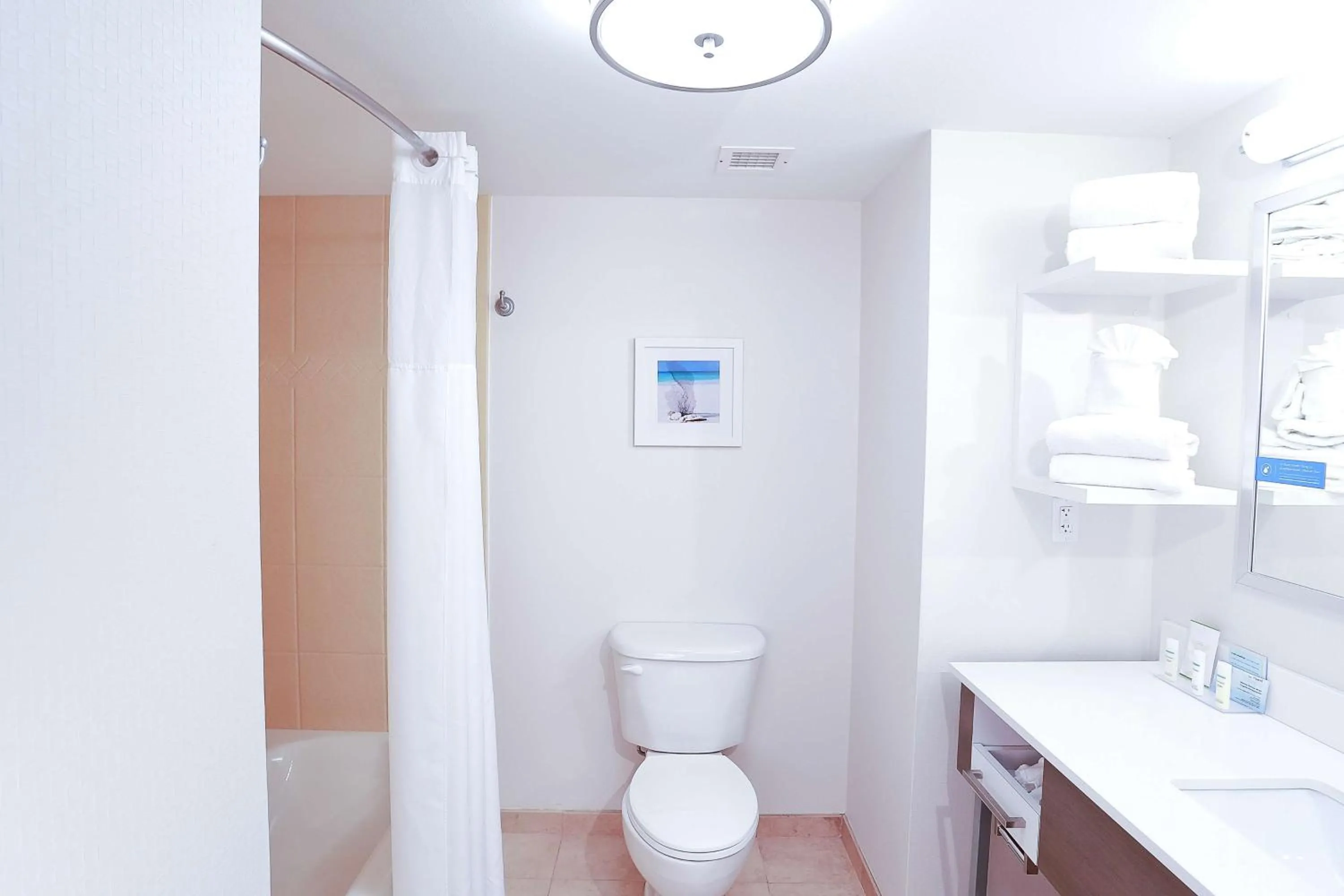 Bathroom in Hampton Inn & Suites Tampa-Wesley Chapel