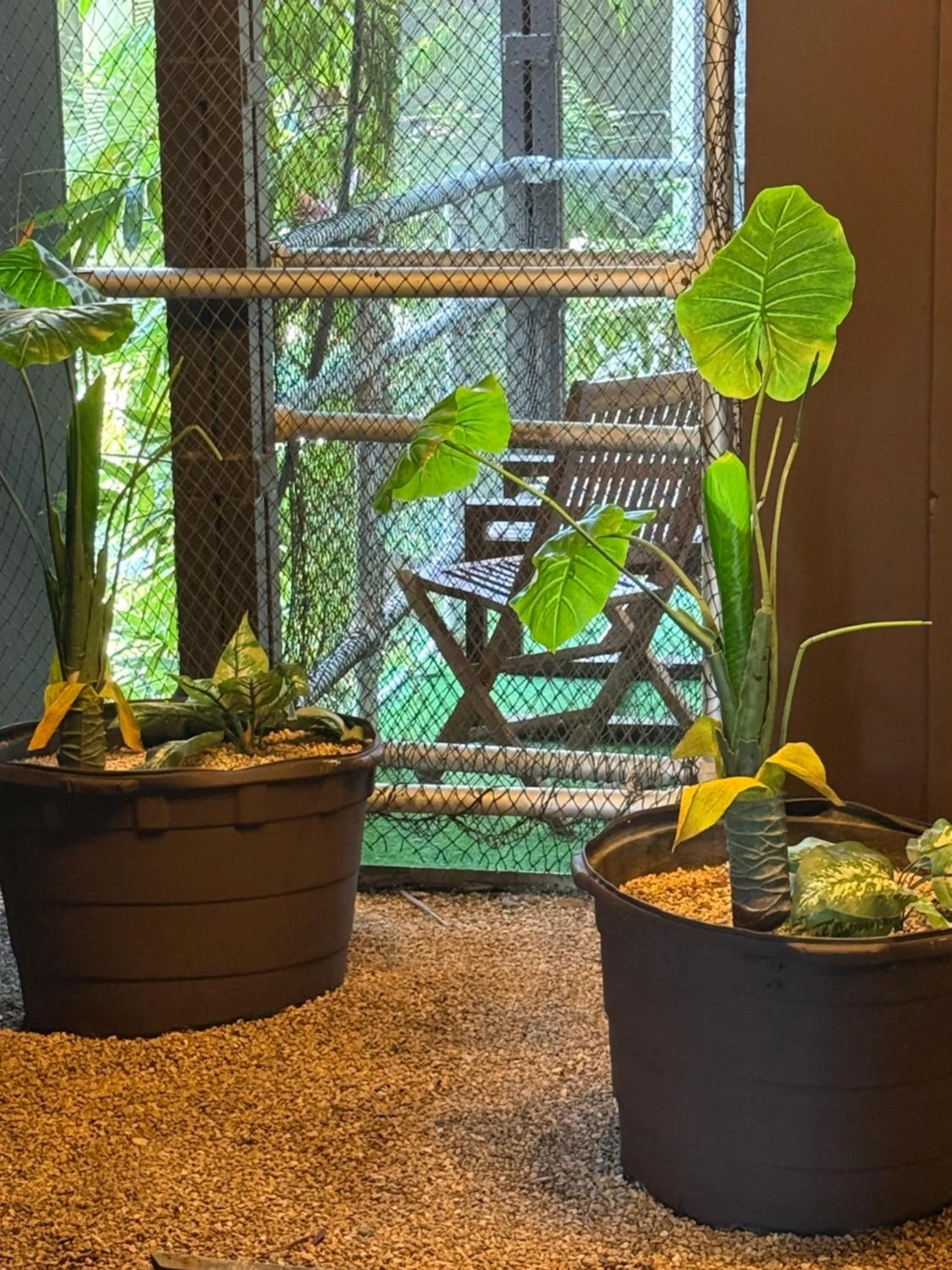 Area and facilities in Reina Roja Hotel Boutique