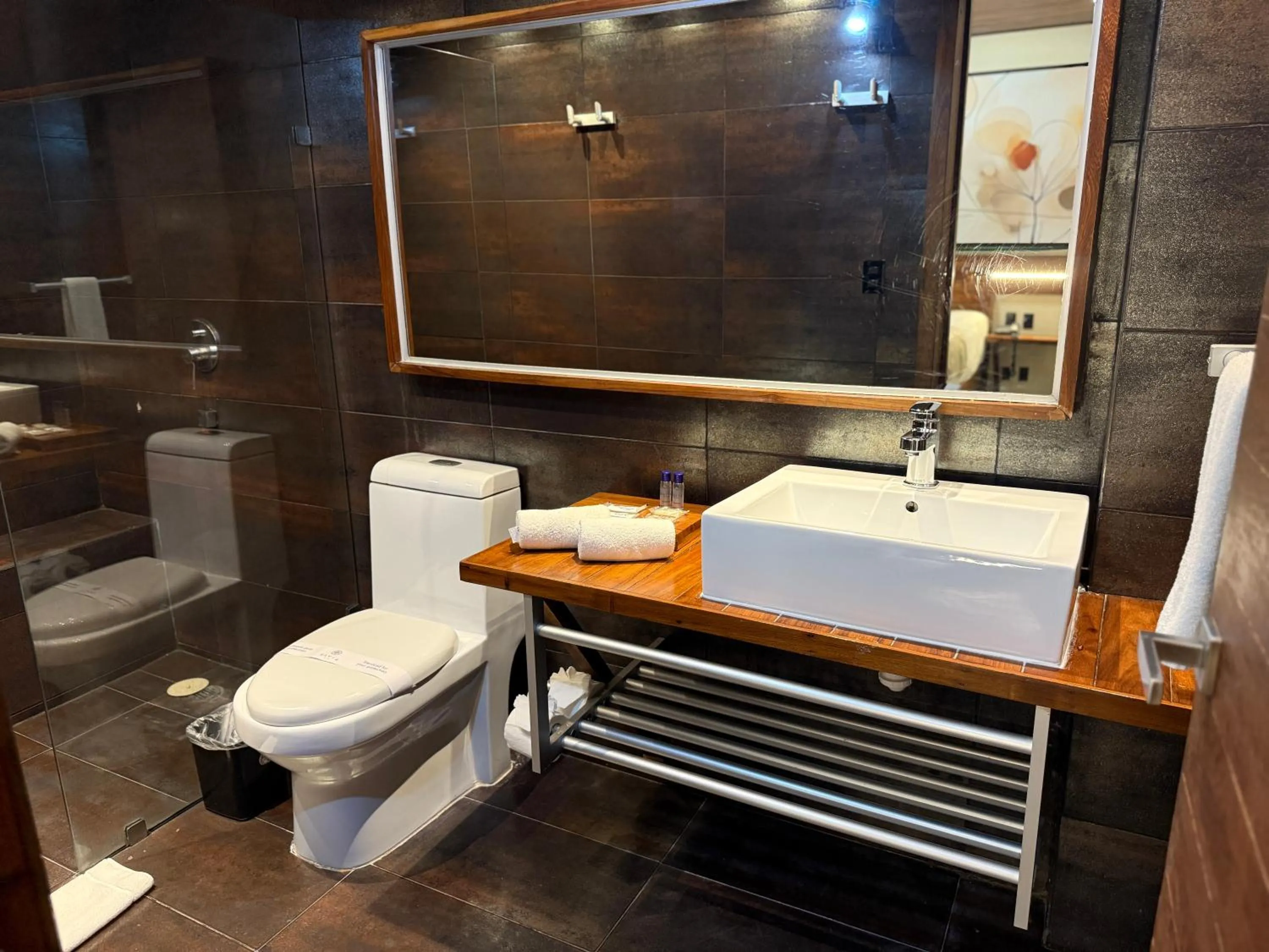 Shower in Reina Roja Hotel Boutique