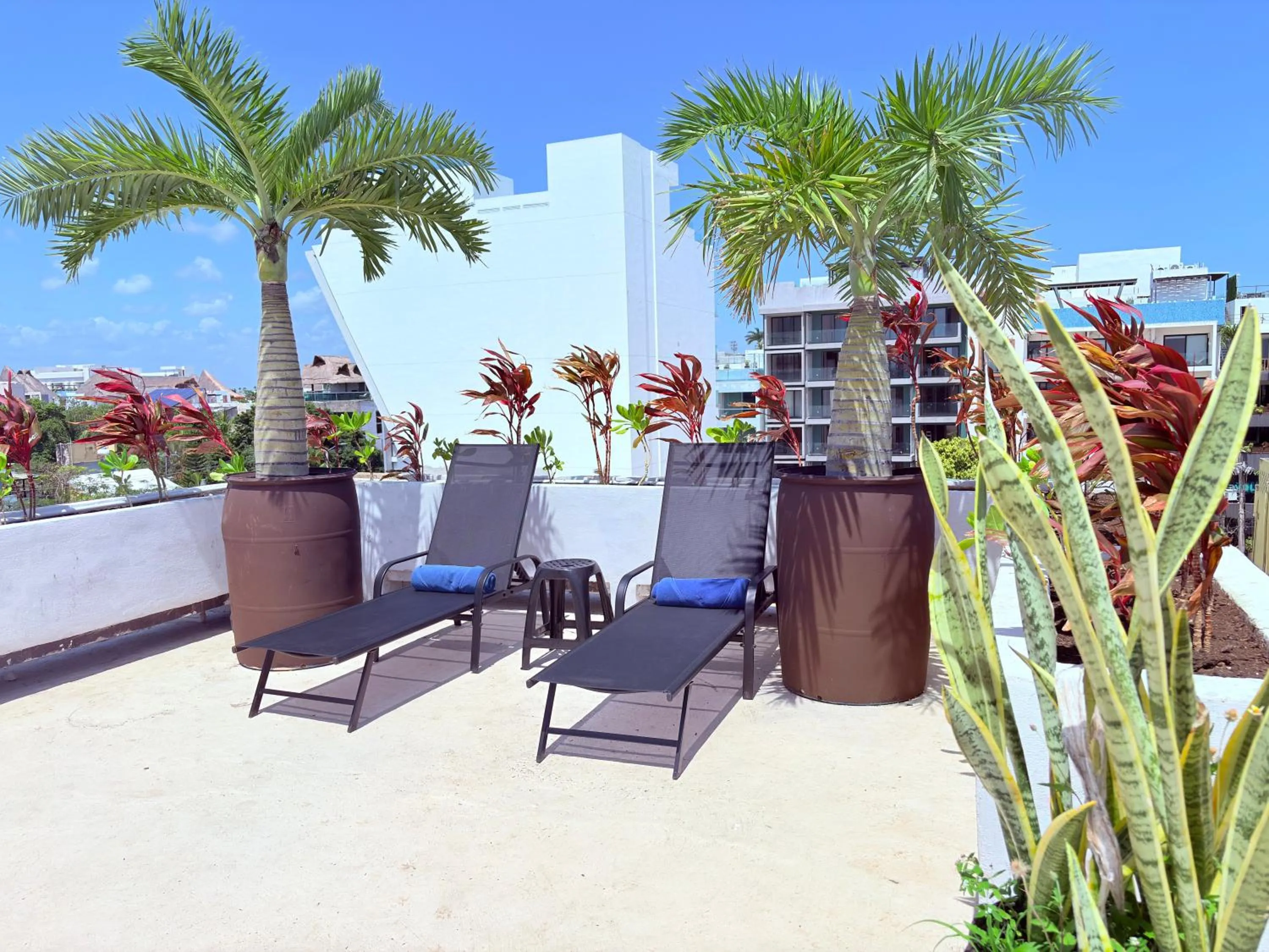 Swimming pool in Reina Roja Hotel Boutique