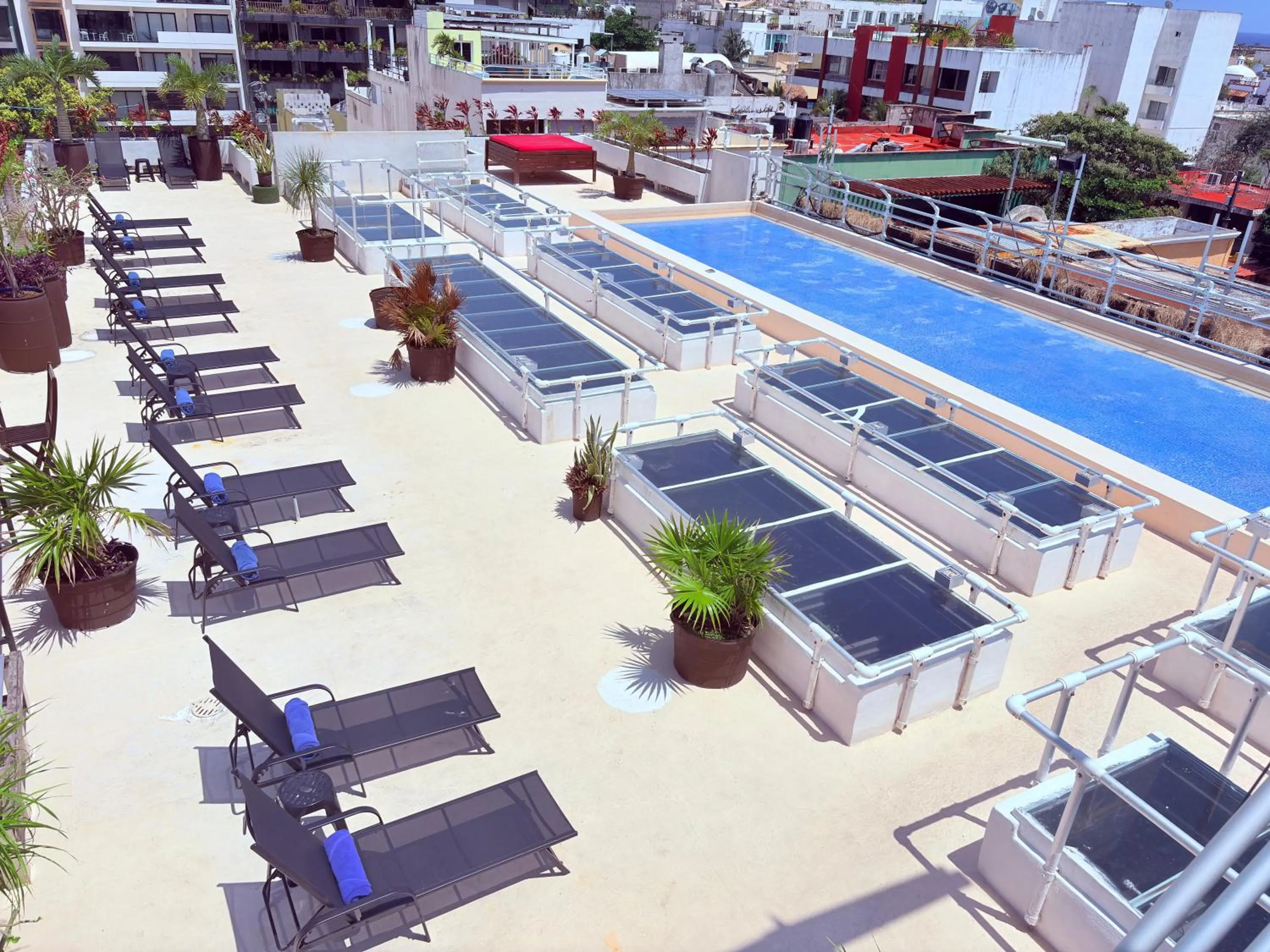 Swimming pool in Reina Roja Hotel Boutique