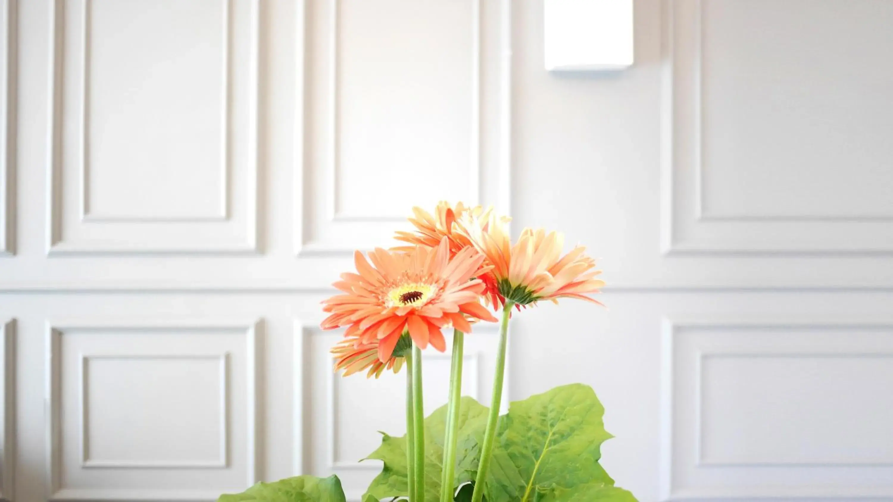 Zetter Suites @ Cameron Zetter Suites @ Cameron