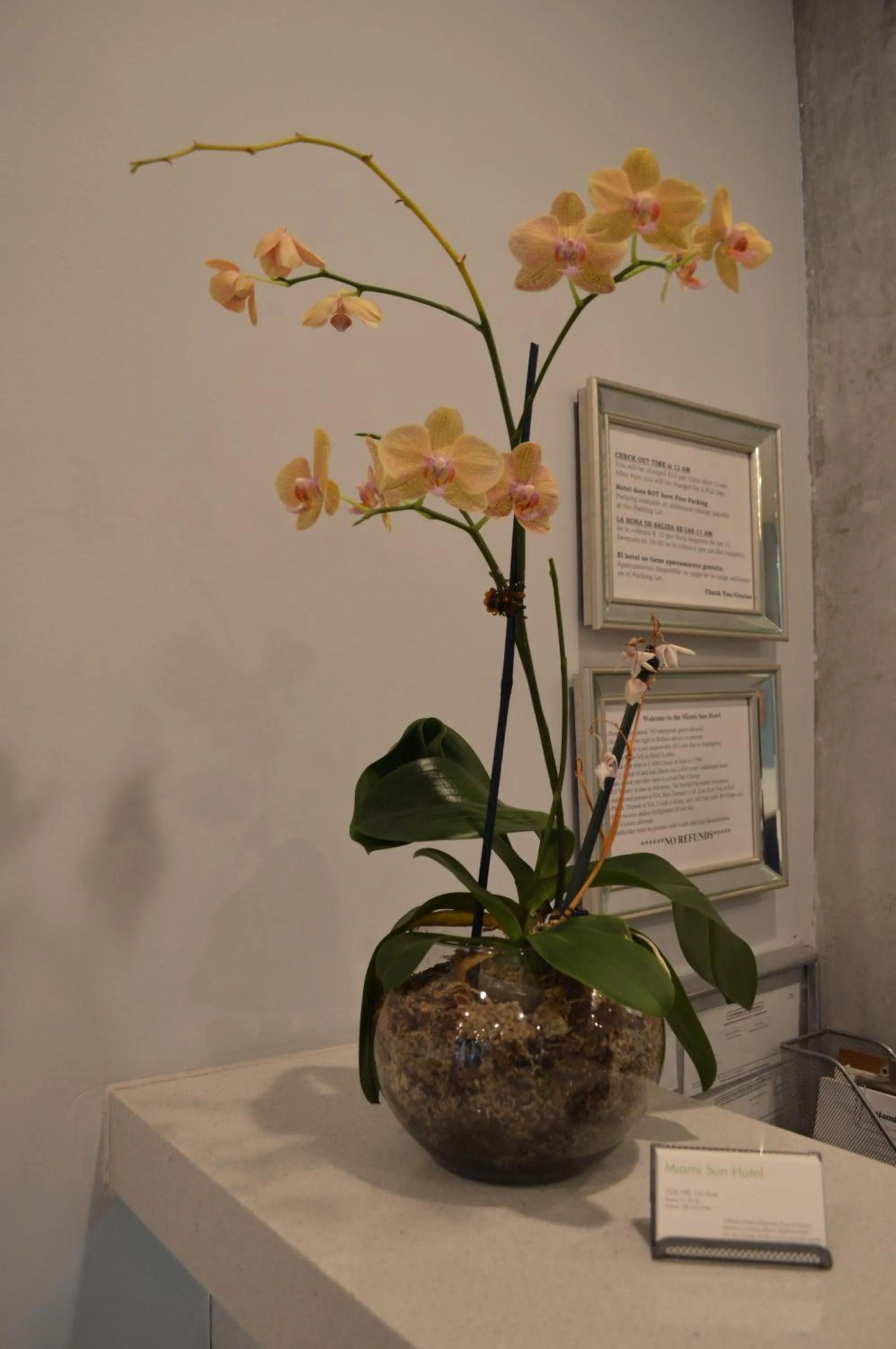 Lobby or reception in Miami Sun Hotel - Downtown/Port of Miami