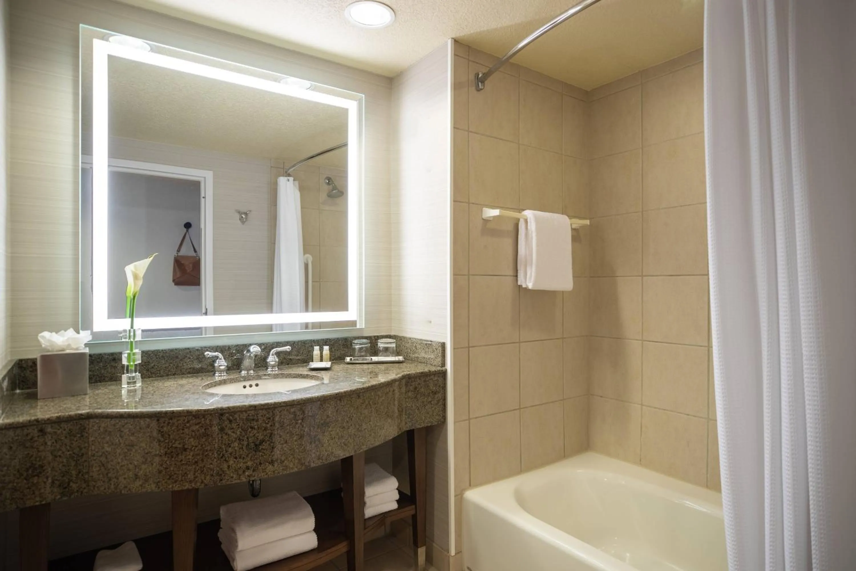 Bathroom in Renaissance Dallas Richardson Hotel