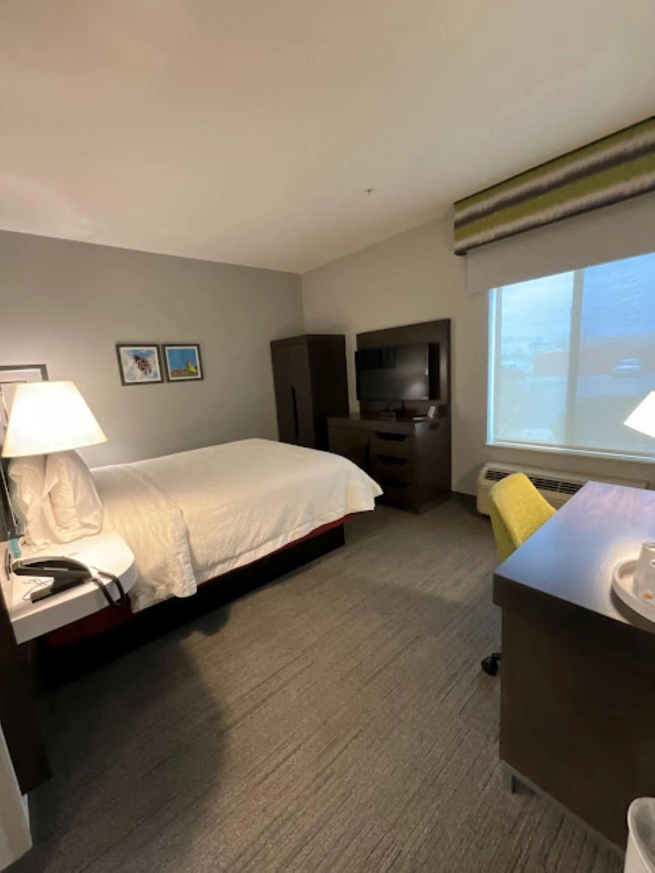 TV and multimedia, Bed in Hampton Inn by Hilton Montrose