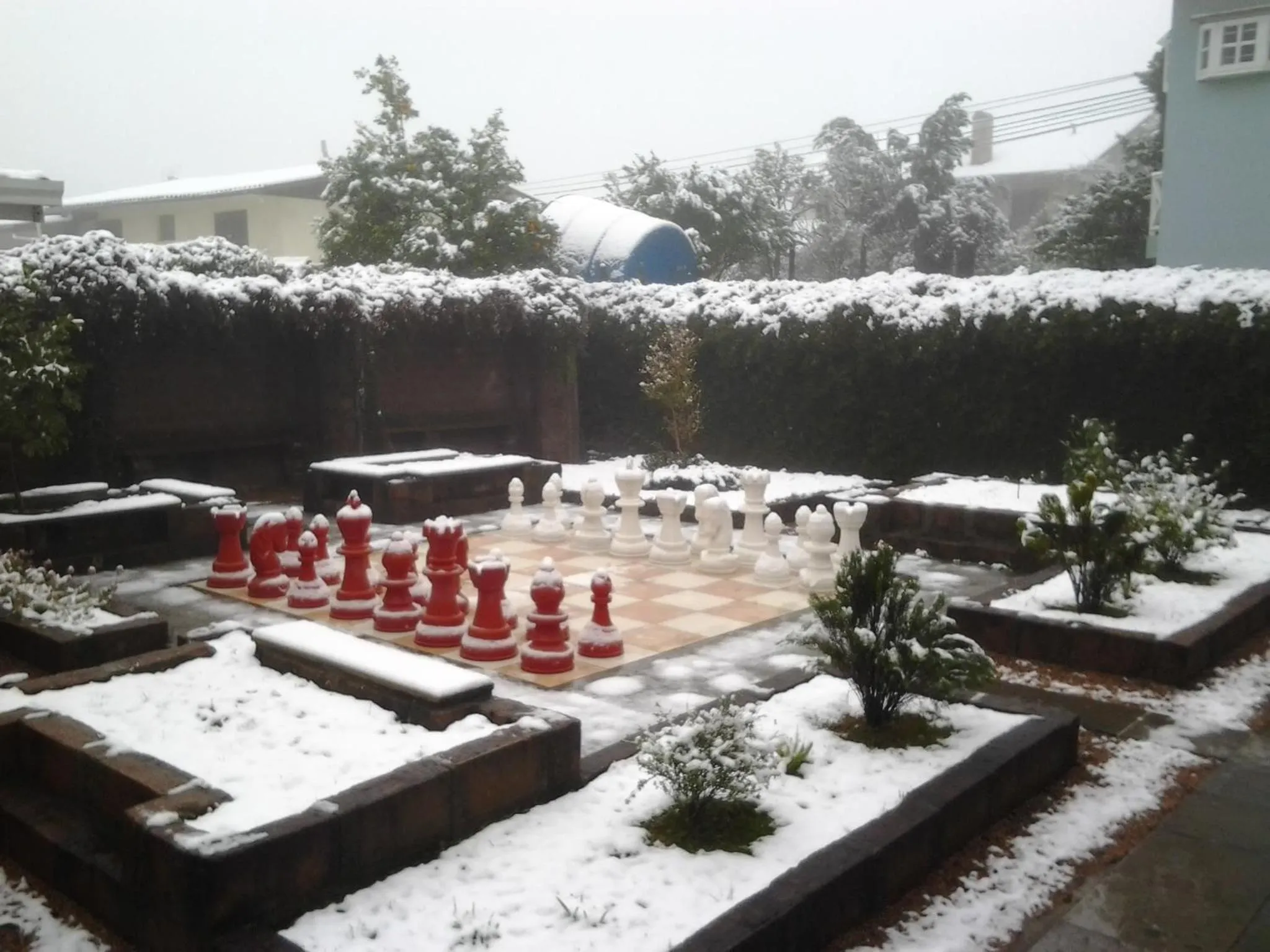 Entertainment in Aardvark Inn Pousada