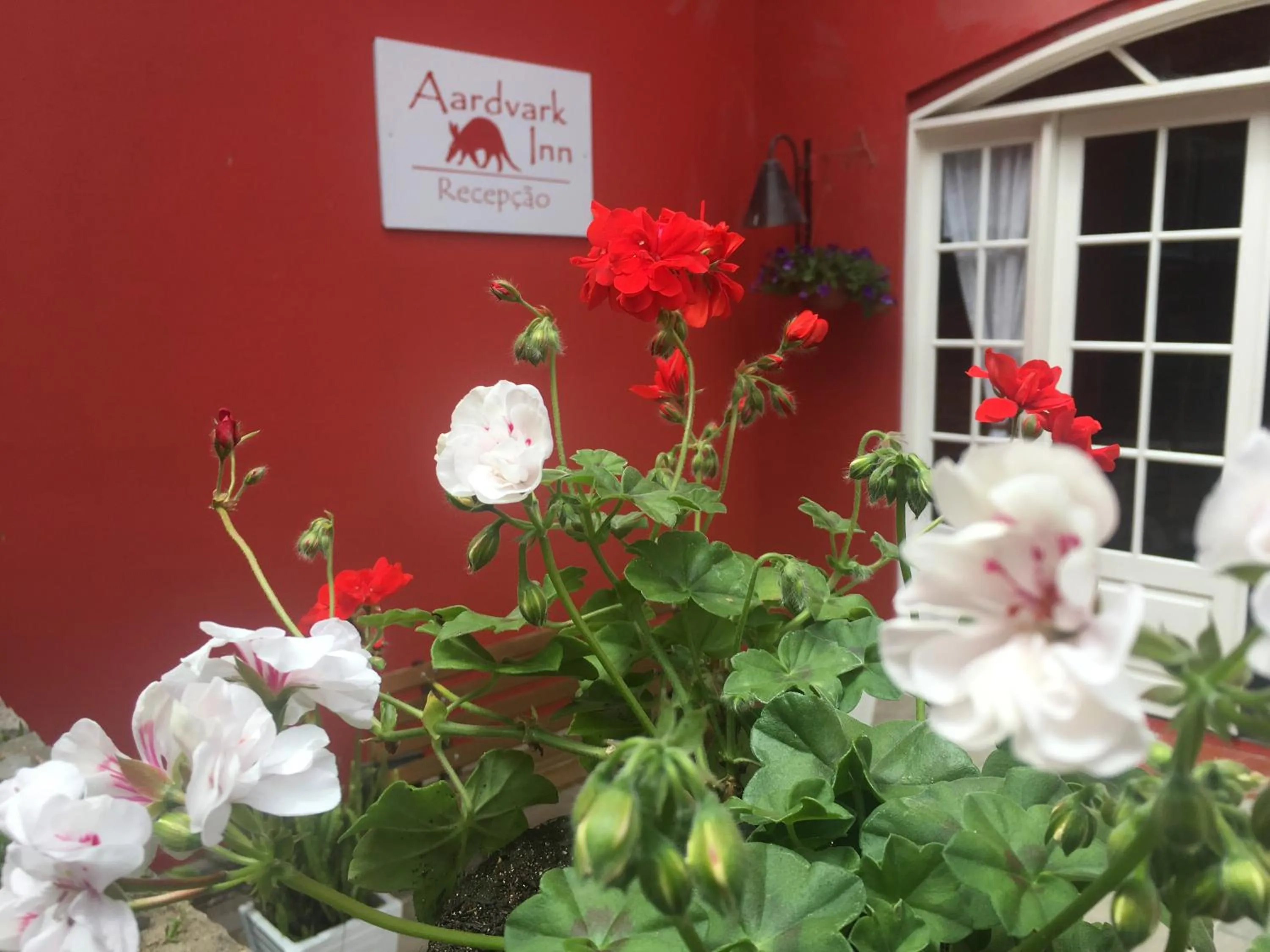 Aardvark Inn Pousada