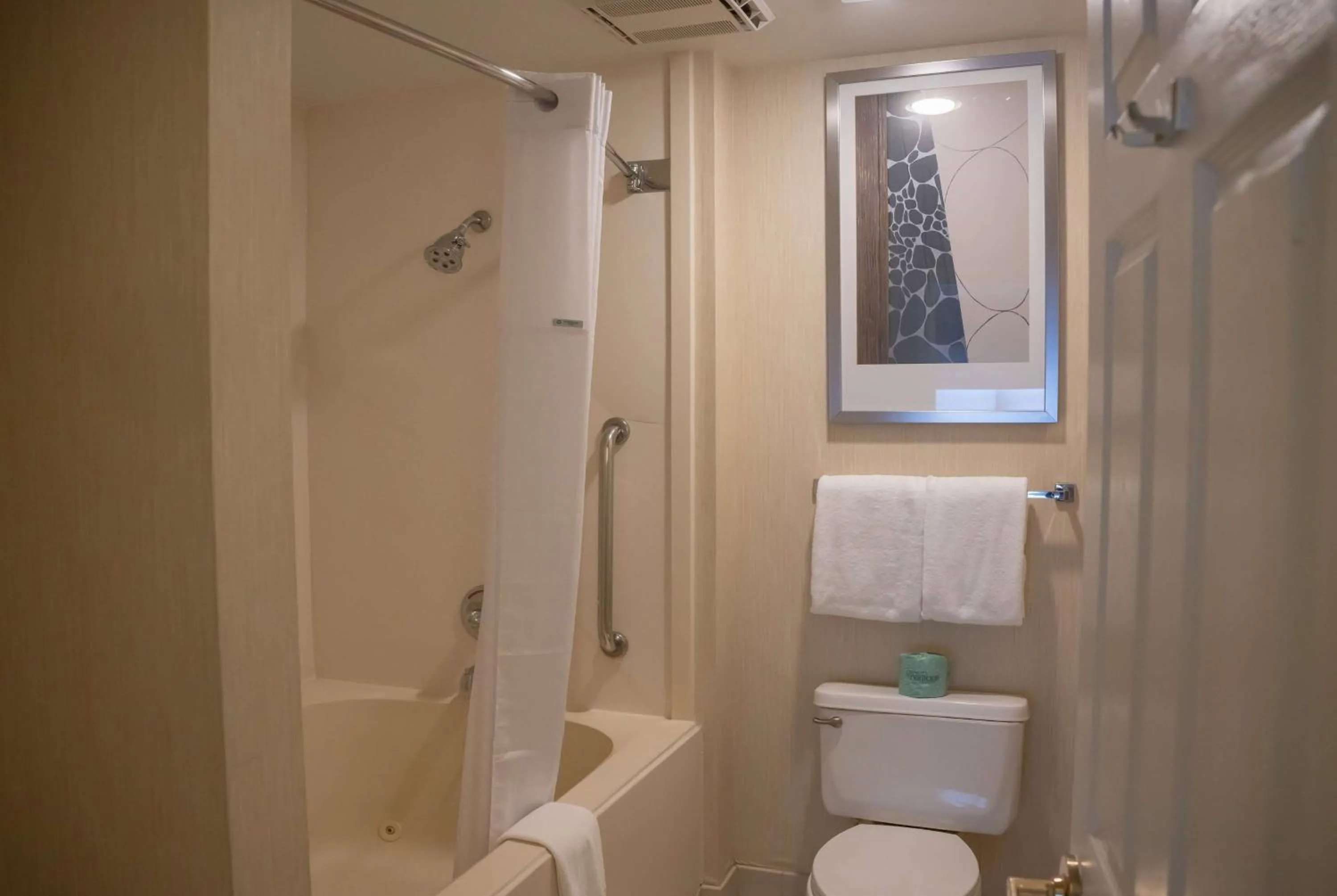 TV and multimedia in Hawthorn Suites by Wyndham Erie