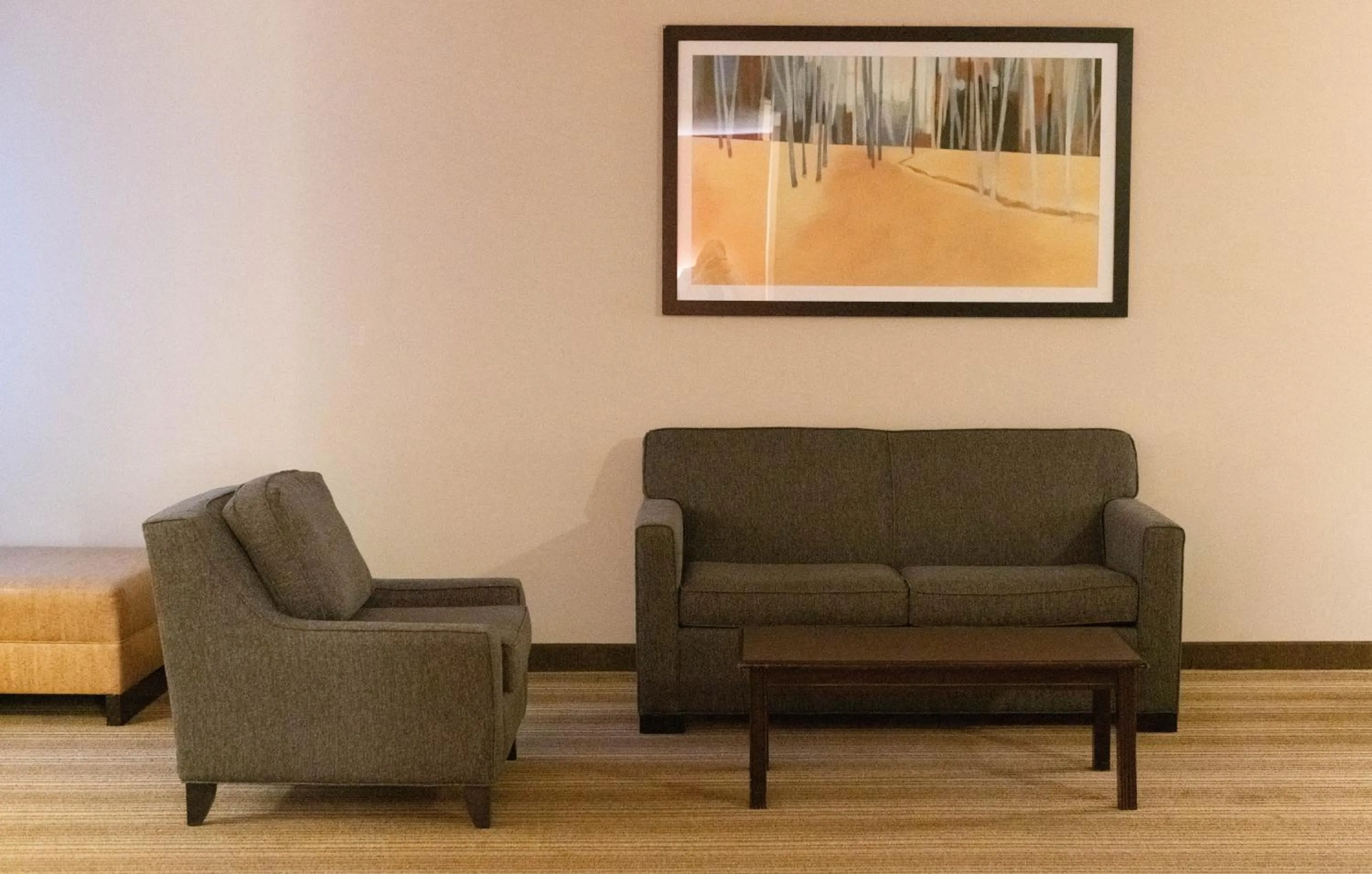 Seating area in Hawthorn Suites by Wyndham Erie