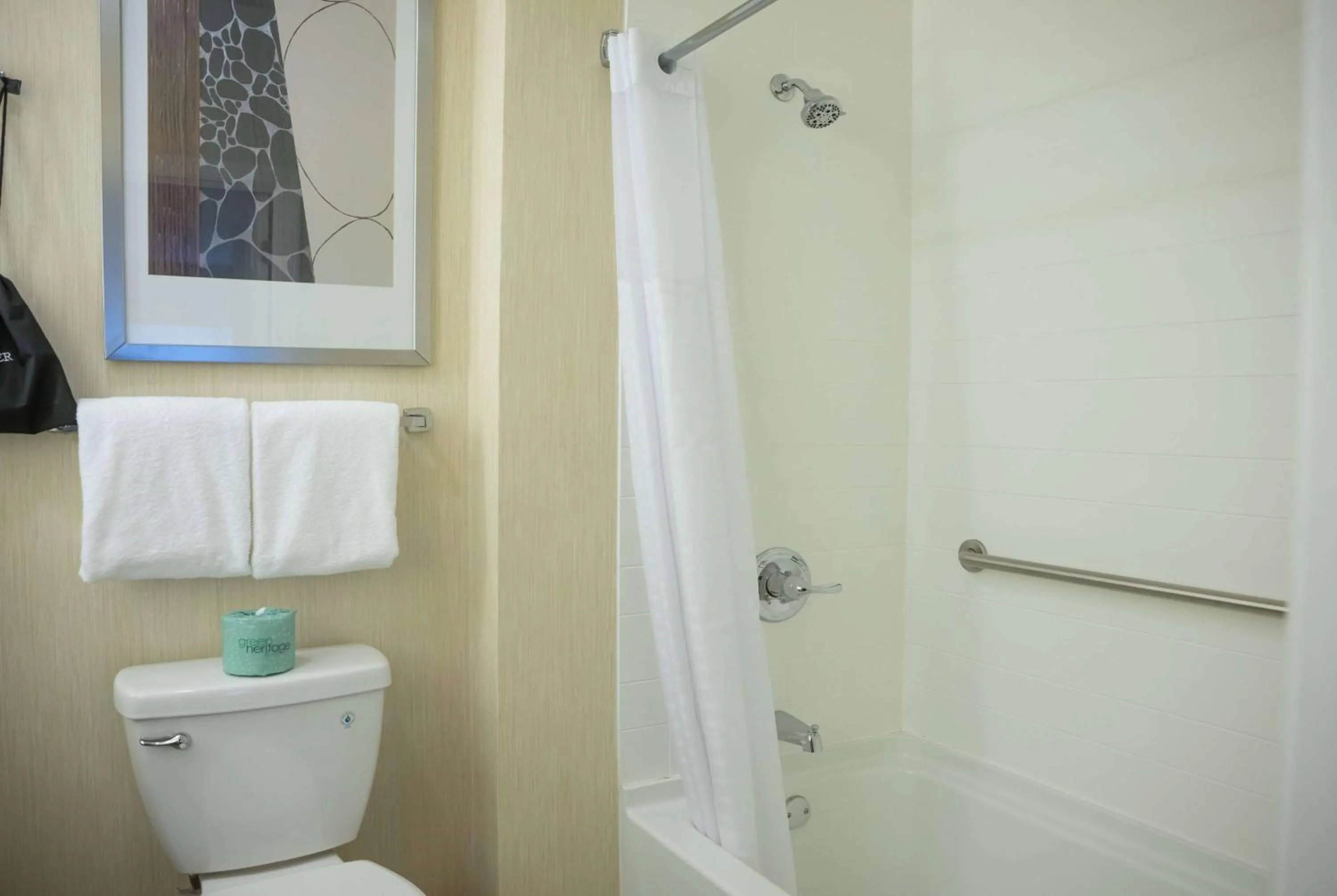 TV and multimedia in Hawthorn Suites by Wyndham Erie