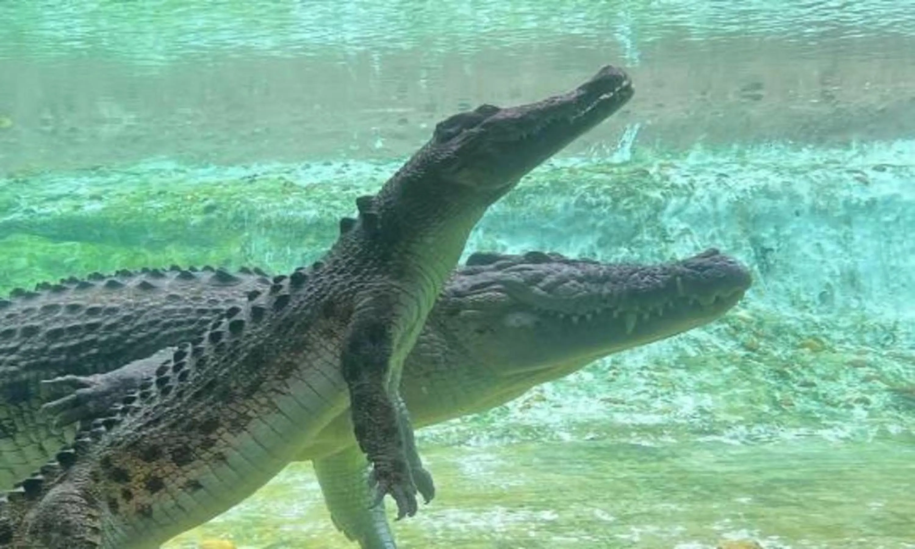 Nearby landmark in Holiday Inn Express & Suites Palm Coast - I-95