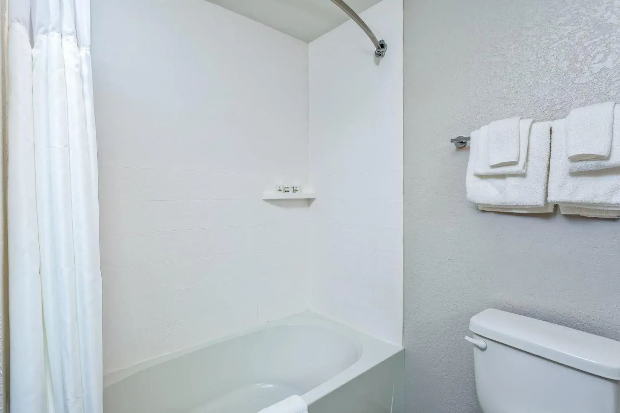 Standard Room in Holiday Inn Express & Suites Palm Coast - I-95 Standard Room in Holiday Inn Express & Suites Palm Coast - I-95