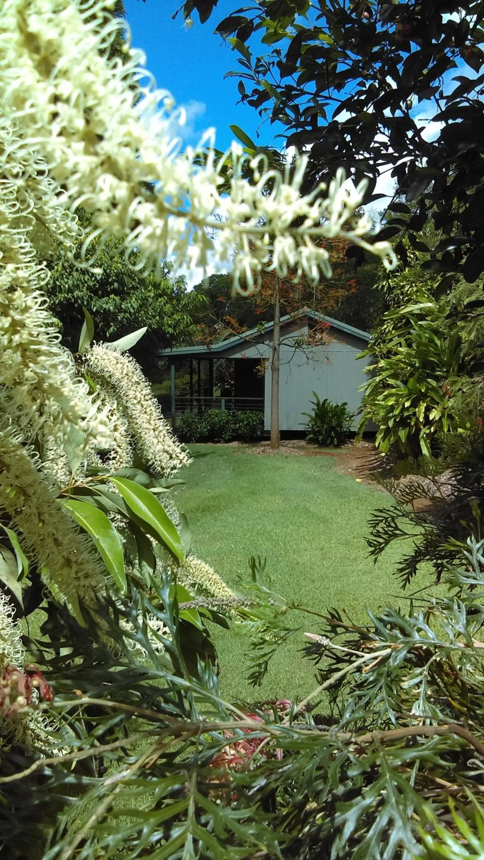 Facade/entrance in Alstonville Country Cottages