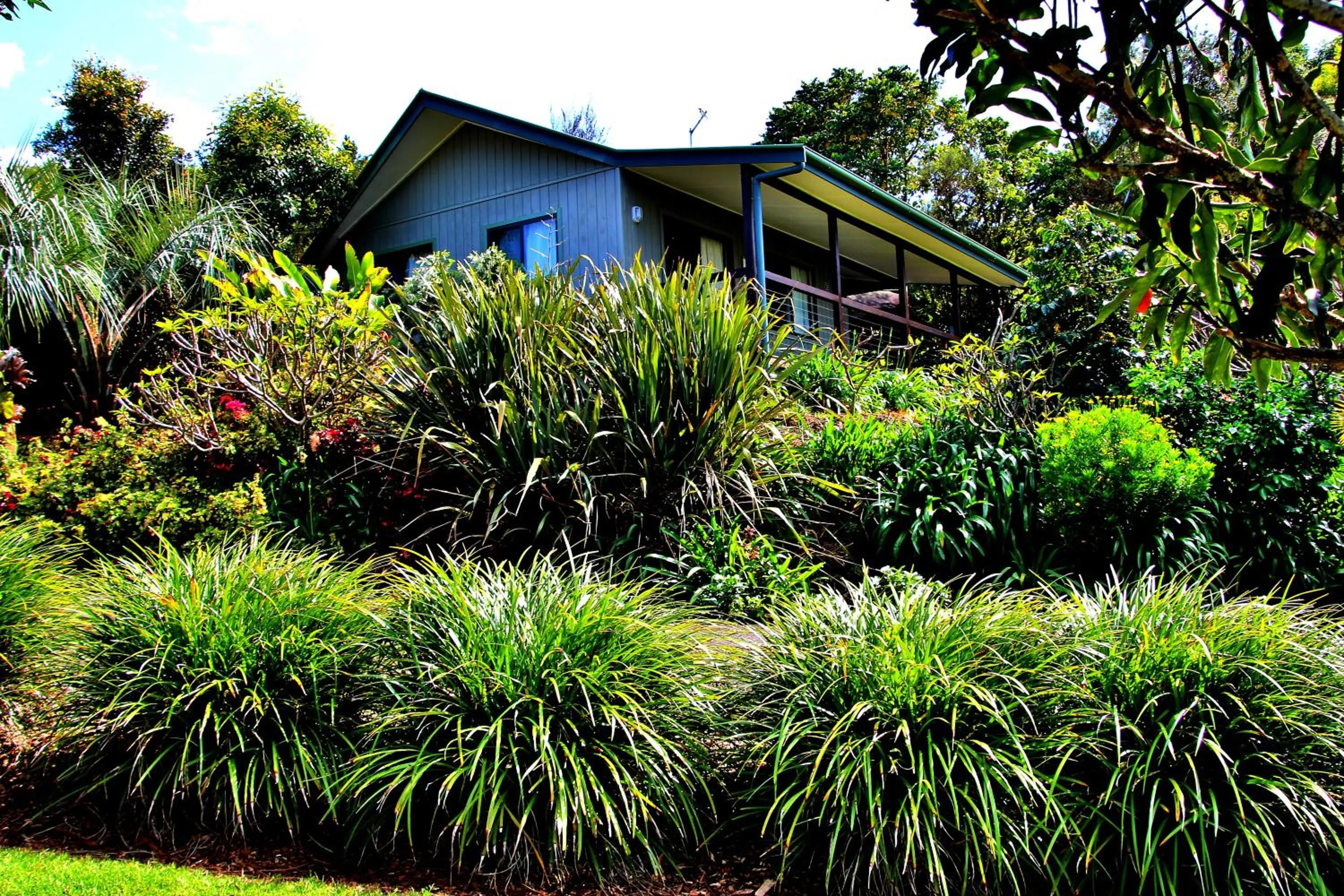 BBQ facilities in Alstonville Country Cottages