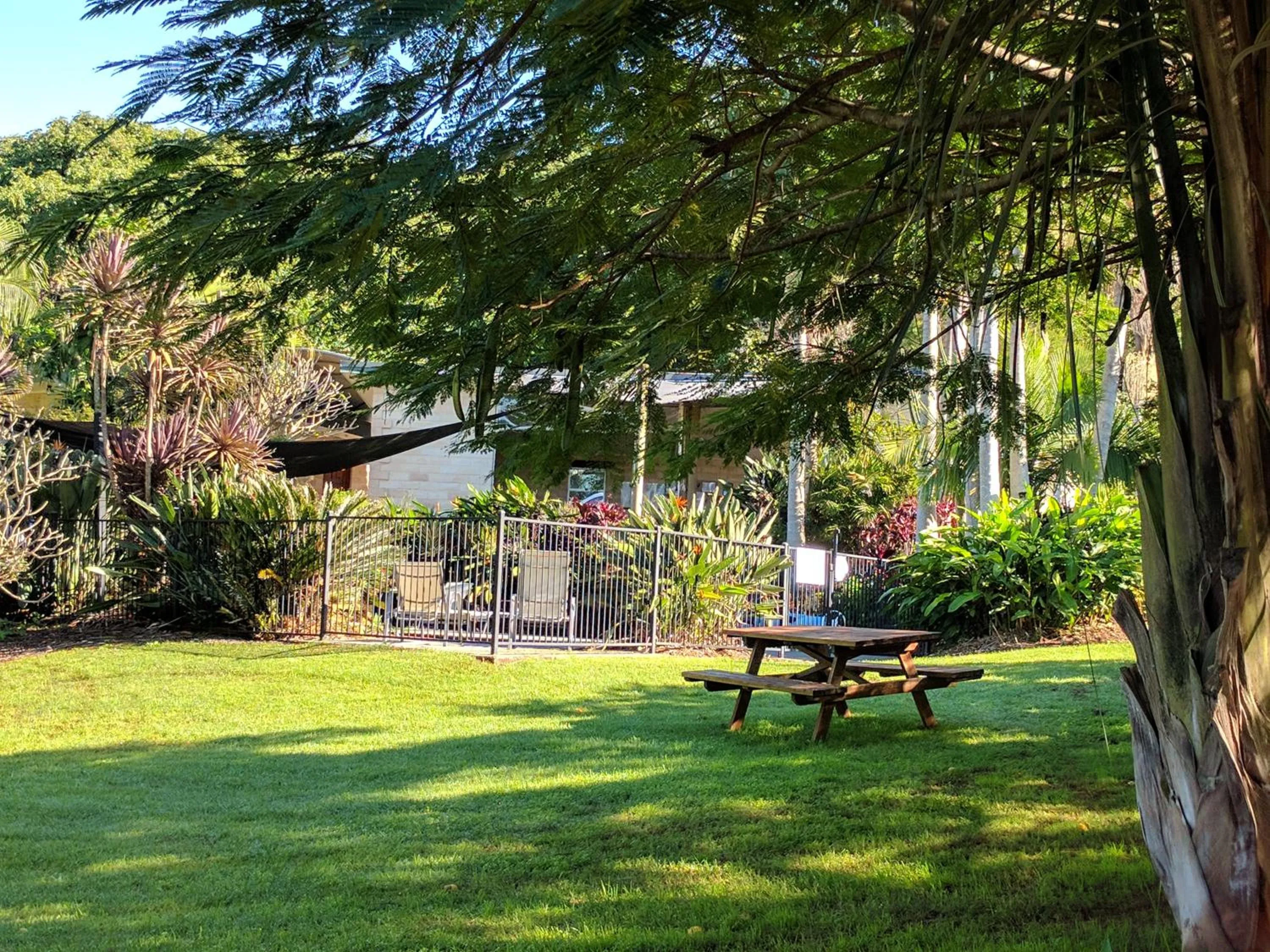 Activities in Alstonville Country Cottages