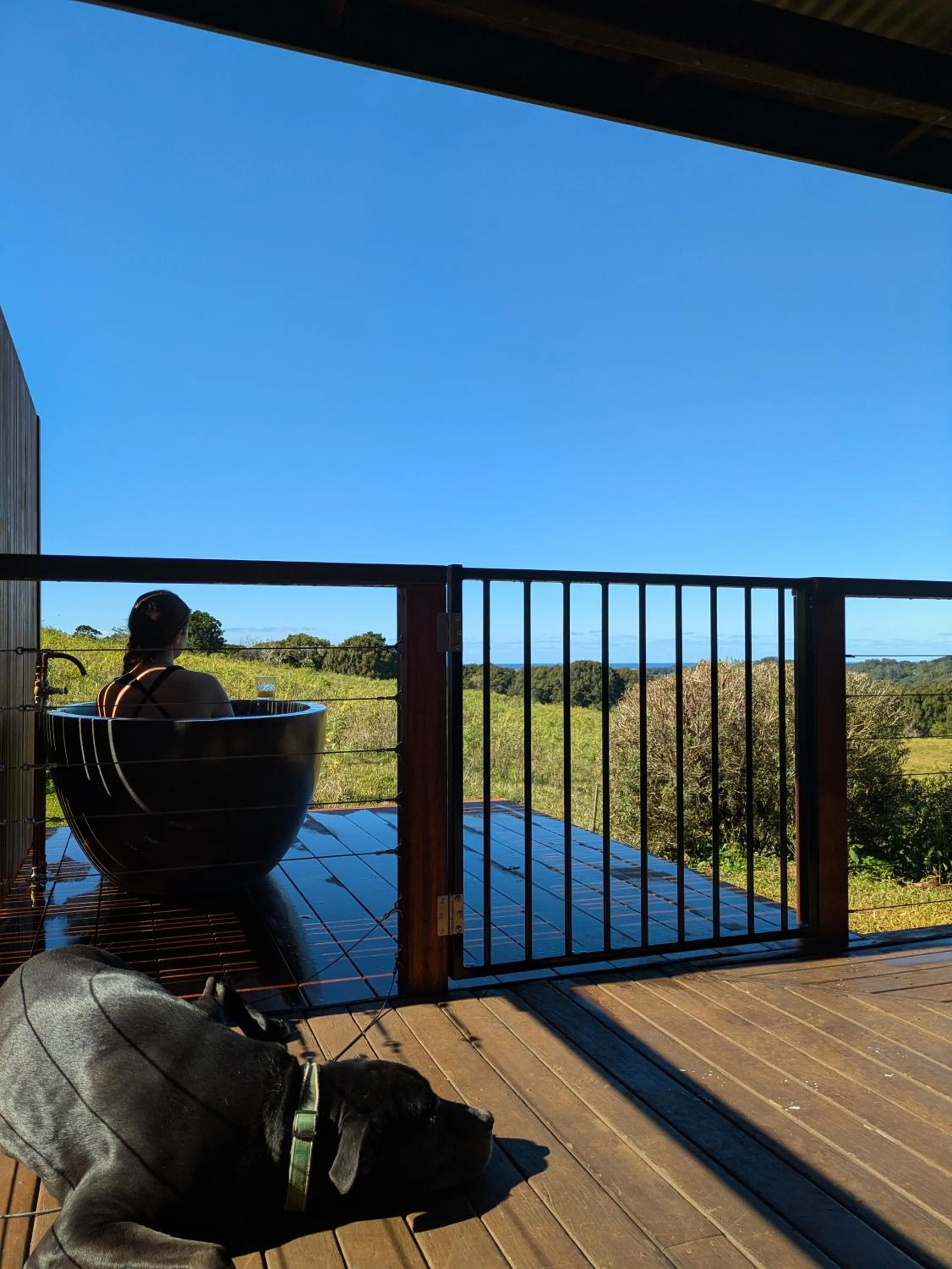 Natural landscape in Alstonville Country Cottages