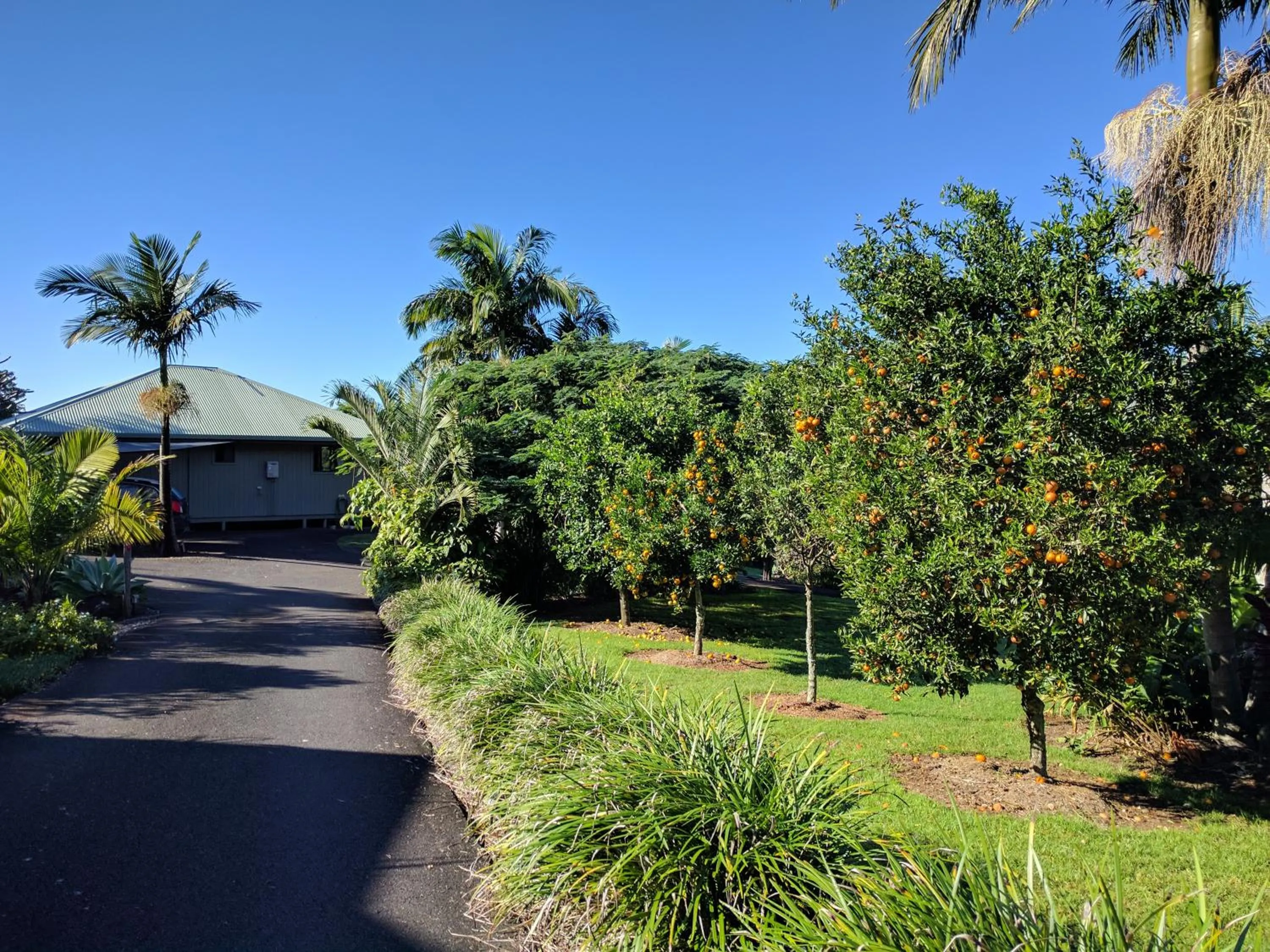 Facade/entrance in Alstonville Country Cottages
